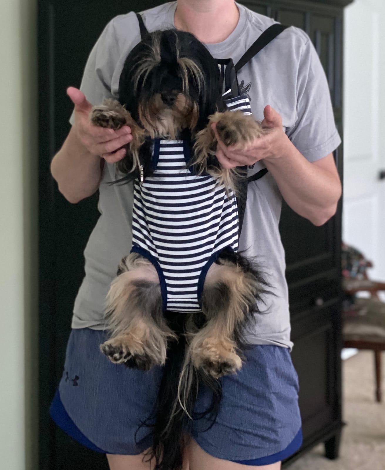 Dog Carrier Legs Out Front Pet Carrier Backpack Adjustable Puppy Cat Small Bag with Shoulder Strap and Sling for Traveling Hiking Camping Outdoor customer photo 2