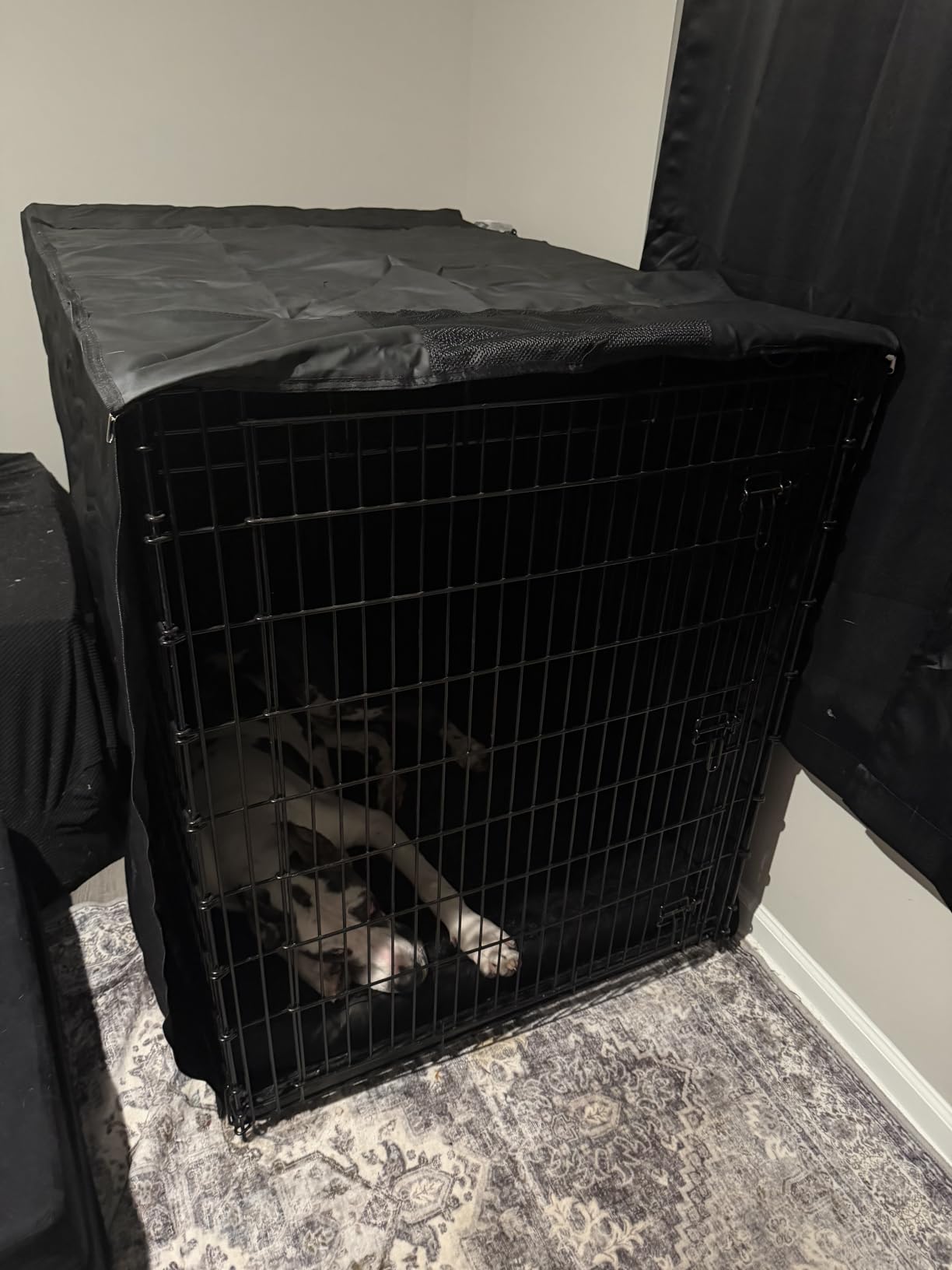 Explore Land Dog Crate Cover, 30 inches, Black customer photo 1