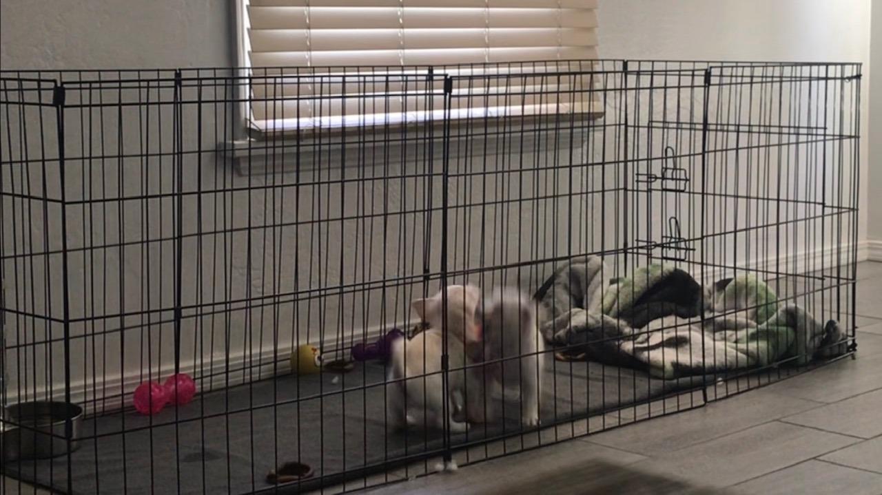 Artmeer Dog Playpen 24