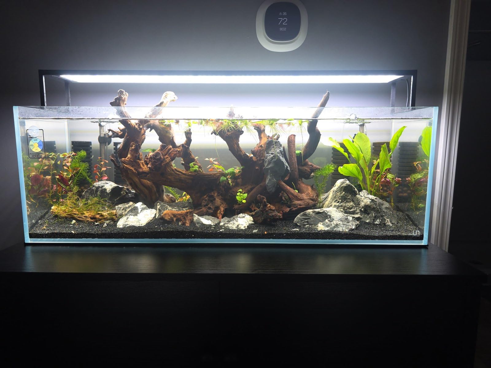 UNS Ultra Clear Rimless Tank - 10.2GAL | 38.8L - 23.62x14.17x7.08 | 60x36x18 CM, 5mm Glass Thickness, Leveling Mat Included - Low Iron, High Clarity Fish Tank w/ 45° Mitered Edge - [60S] customer photo 2