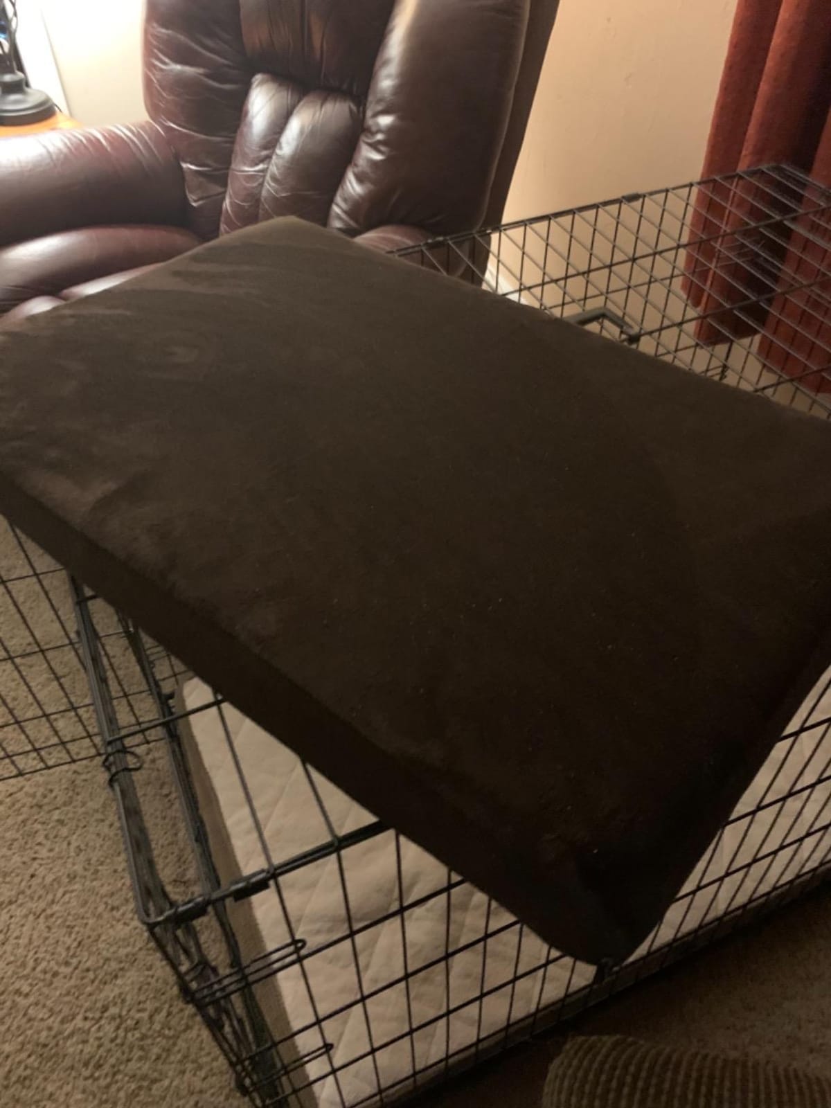 BarkBox Orthopedic Dog Bed - XL customer photo 1
