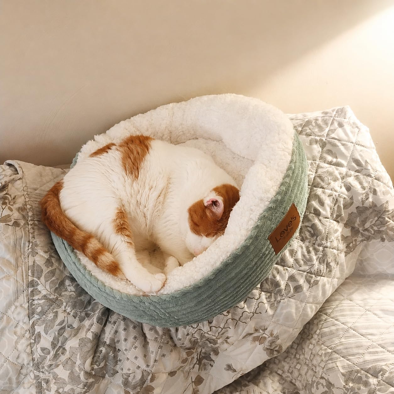 Love's cabin Round Donut Cat and Dog Cushion Bed, 20in Bed for Cats or Small Dogs, Anti-Slip & Water-Resistant Bottom, Super Soft Durable Fabric Pet Beds, Washable Luxury Cat & Dog Bed Gray customer photo 1