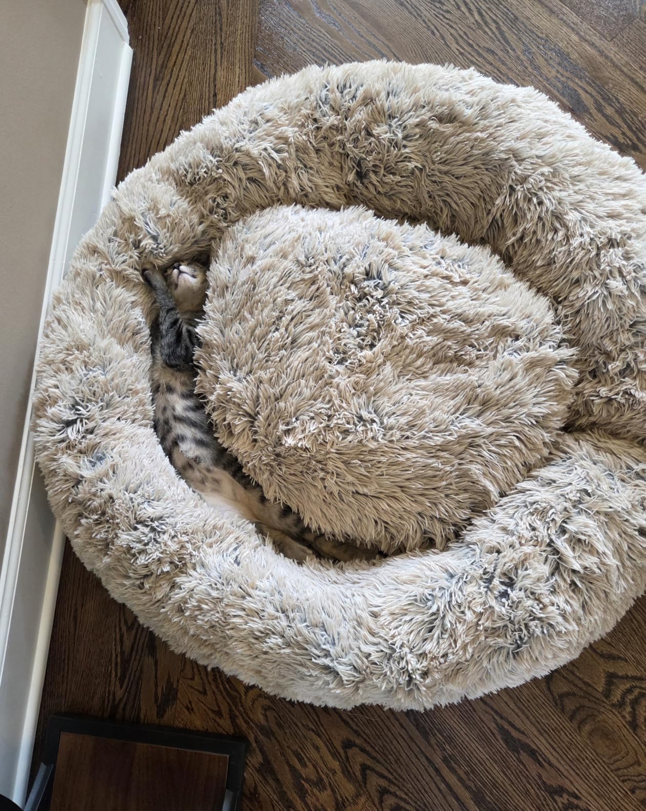 Best Friends by Sheri Original Calming Donut Dog Bed, Taupe, Medium, 30