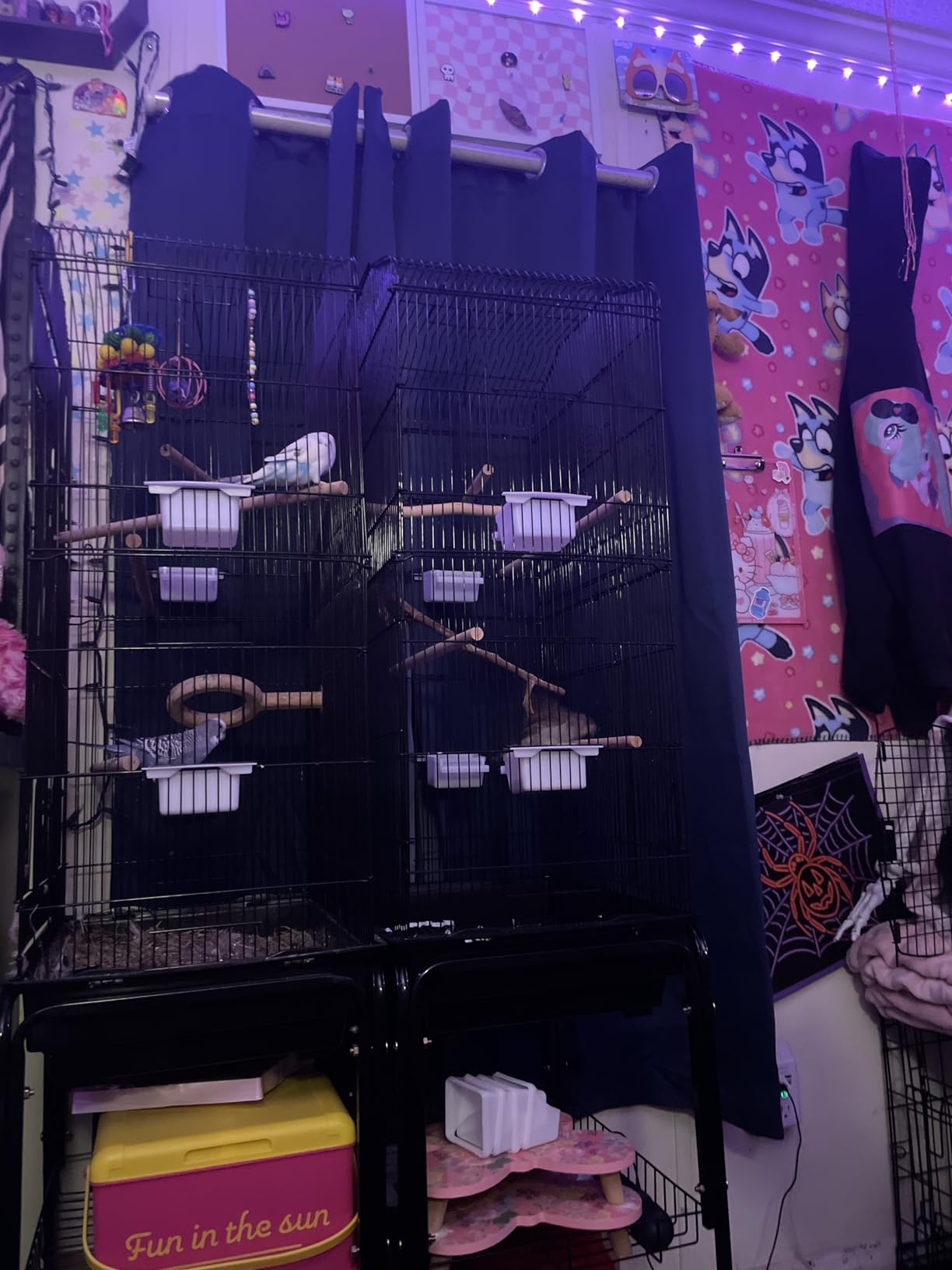 SUPER DEAL 59.3 Rolling Bird Cage Large Wrought Iron Cage for Cockatiel Sun Conure Parakeet Finch Budgie Lovebird Canary Medium Pet House with Rolling Stand & Storage Shelf customer photo 2