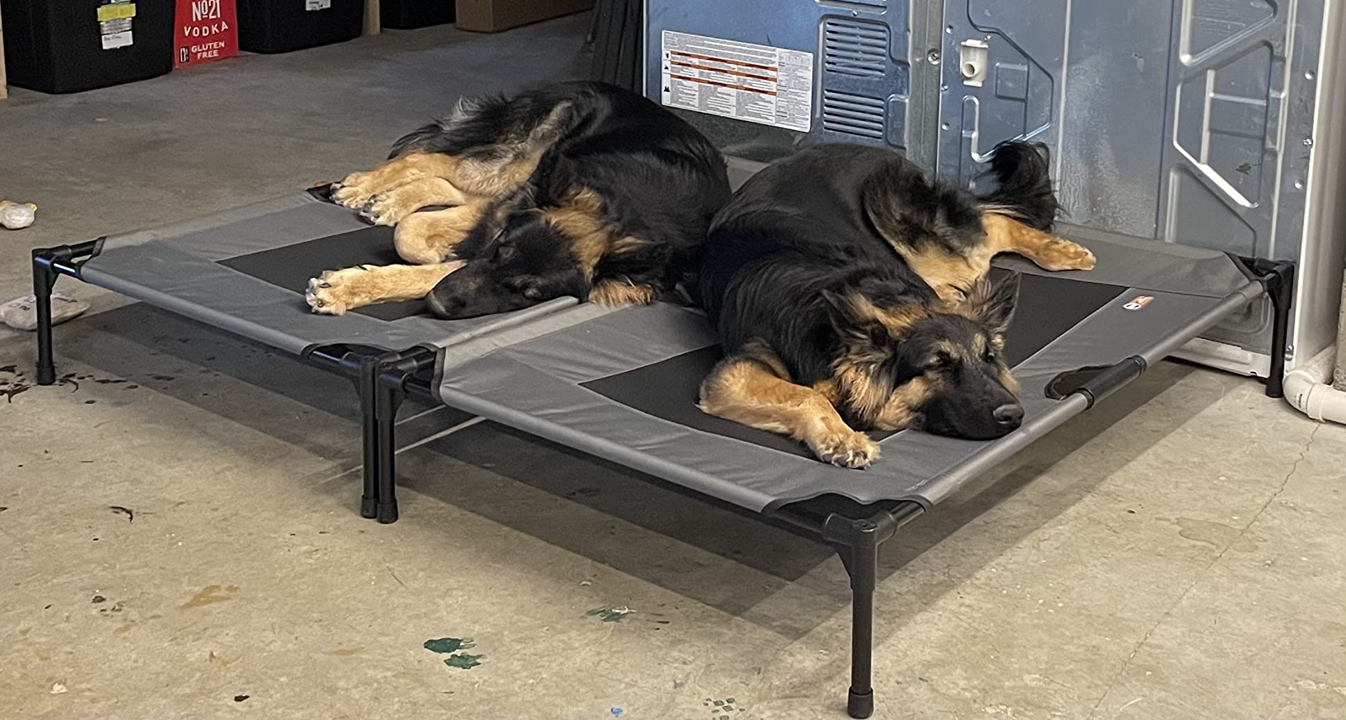 K&H Outdoor Elevated Dog Bed for Small Pets, Green, Small 22x17in customer photo 1