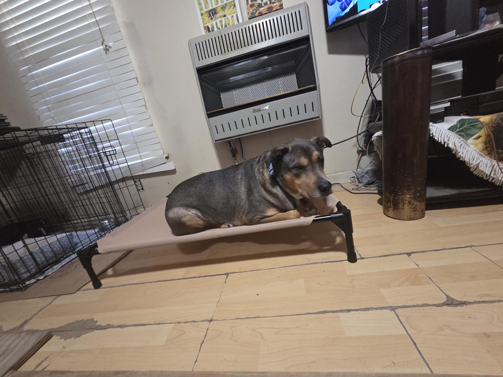 K&H Outdoor Elevated Dog Bed for Medium & Large Pets, Chocolate, 42x30in customer photo 1