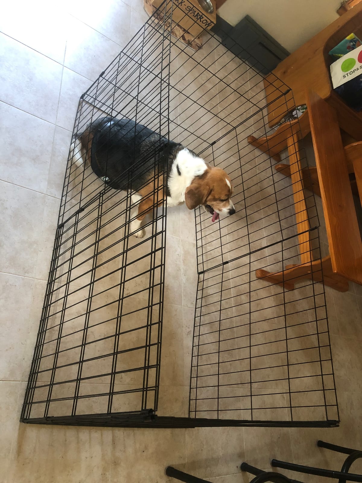 Pet Dog Playpen 8 Panel 24