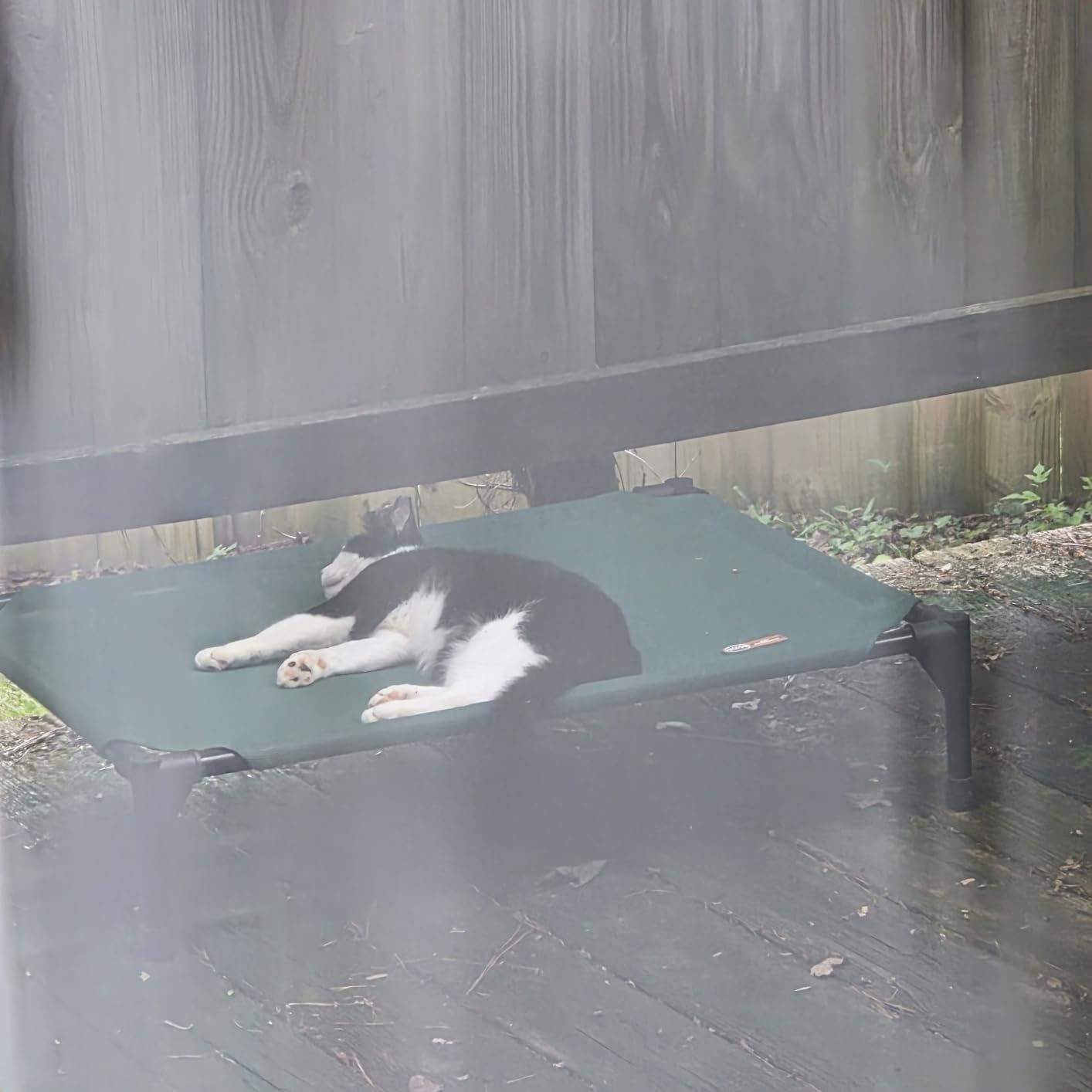 K&H Outdoor Elevated Dog Bed, Cooling Raised Dog Bed, Gray, XL 50x32in customer photo 2