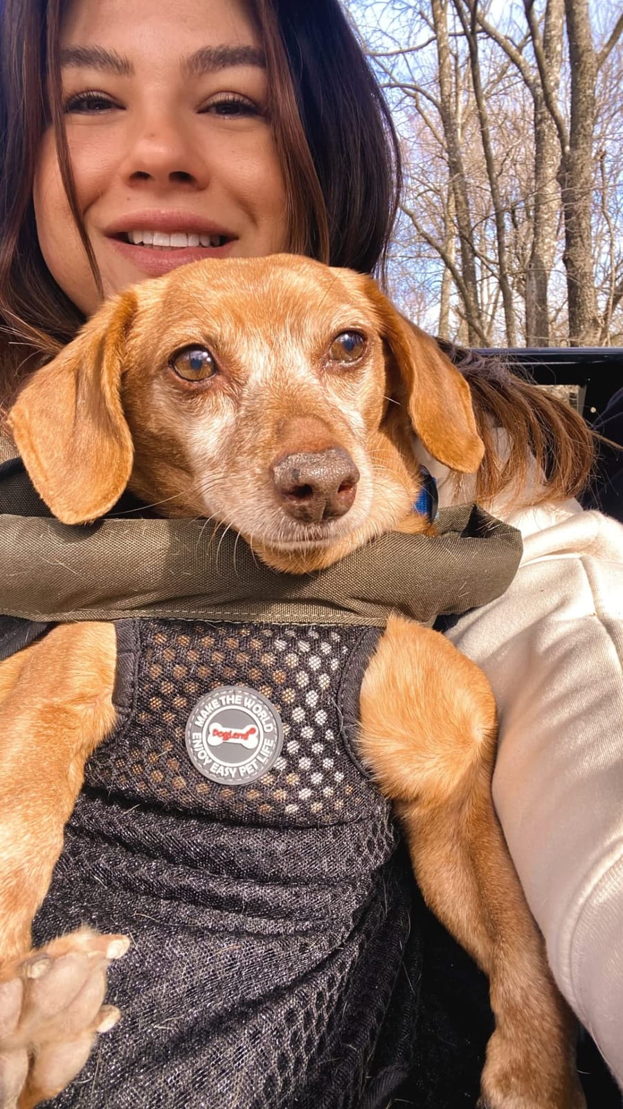 Dog Backpack Carrier Small Dog Backpack, Pet Dog Front Backpack Legs Out Dog Chest Carrier for Small Dogs, Cat Backpack Carrier Dogs Travel Back Pack Hands-Free Hiking Bike Motorcycle (Size:11–19 lbs) customer photo 1