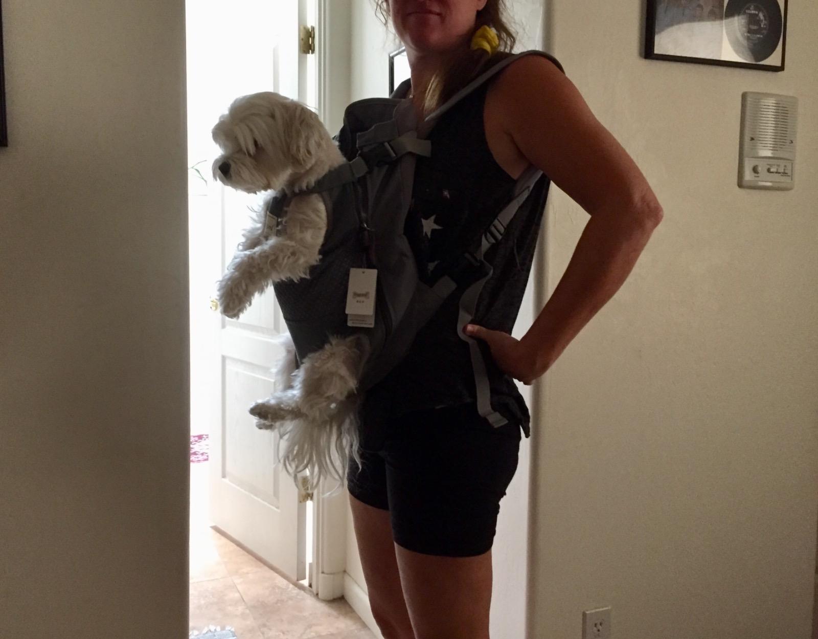 Dog Backpack Carrier Small Dog Backpack, Pet Dog Front Backpack Legs Out Dog Chest Carrier for Small Dogs, Cat Backpack Carrier Dogs Travel Back Pack Hands-Free Hiking Bike Motorcycle (Size:11–19 lbs) customer photo 2