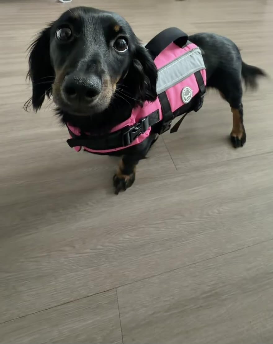 VIVAGLORY Dog Life Vest Front Float Dog Swim Vest, M, Bright Pink customer photo 2