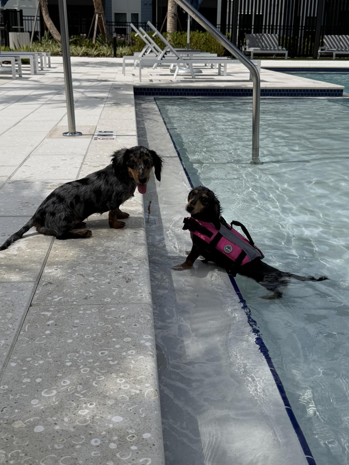 VIVAGLORY Dog Life Vest Front Float Dog Swim Vest, XS, Bright Pink customer photo 1