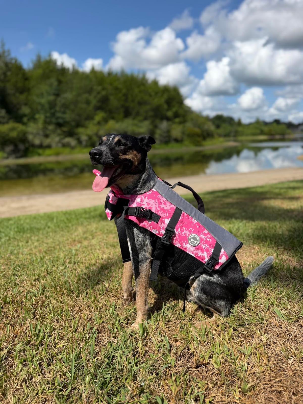 VIVAGLORY Dog Life Vest Front Float Dog Swim Vest, XS, Bright Pink customer photo 2