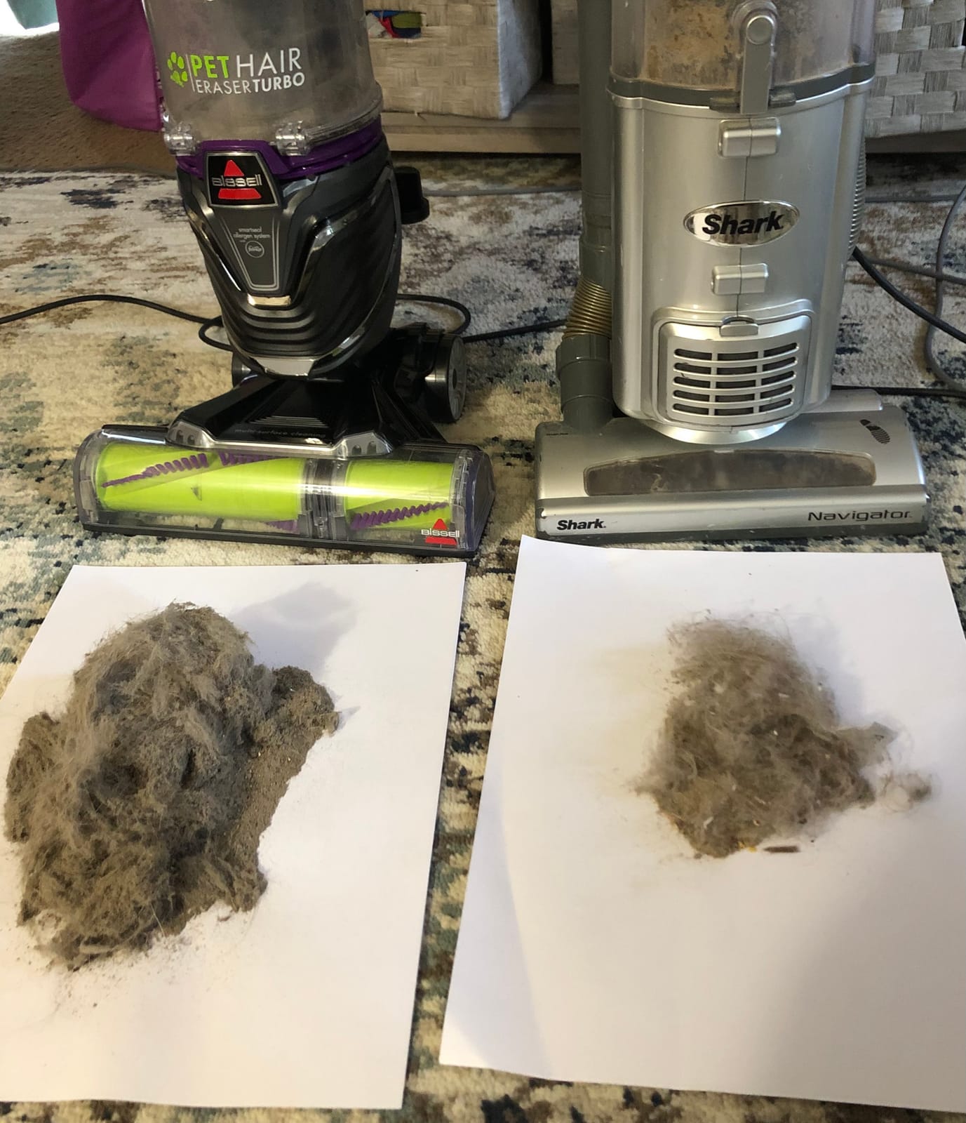BISSELL 24613 Pet Hair Eraser Turbo Plus Lightweight Vacuum, Tangle-Free Brush Roll, Powerful Pet Hair Pick-up, SmartSeal Allergen System, Specialized Pet Tools, Easy Empty Dirt Tank customer photo 1