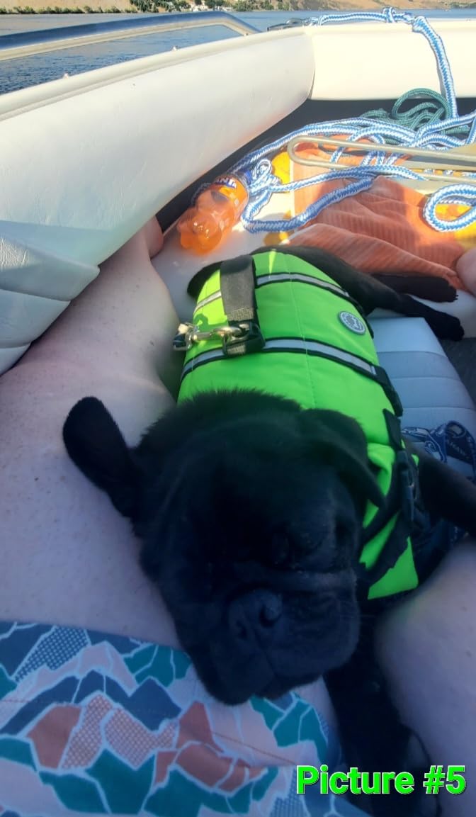 VIVAGLORY Dog Life Vest Rip Stop Dog Swim Vest, L, Bright Pink customer photo 1