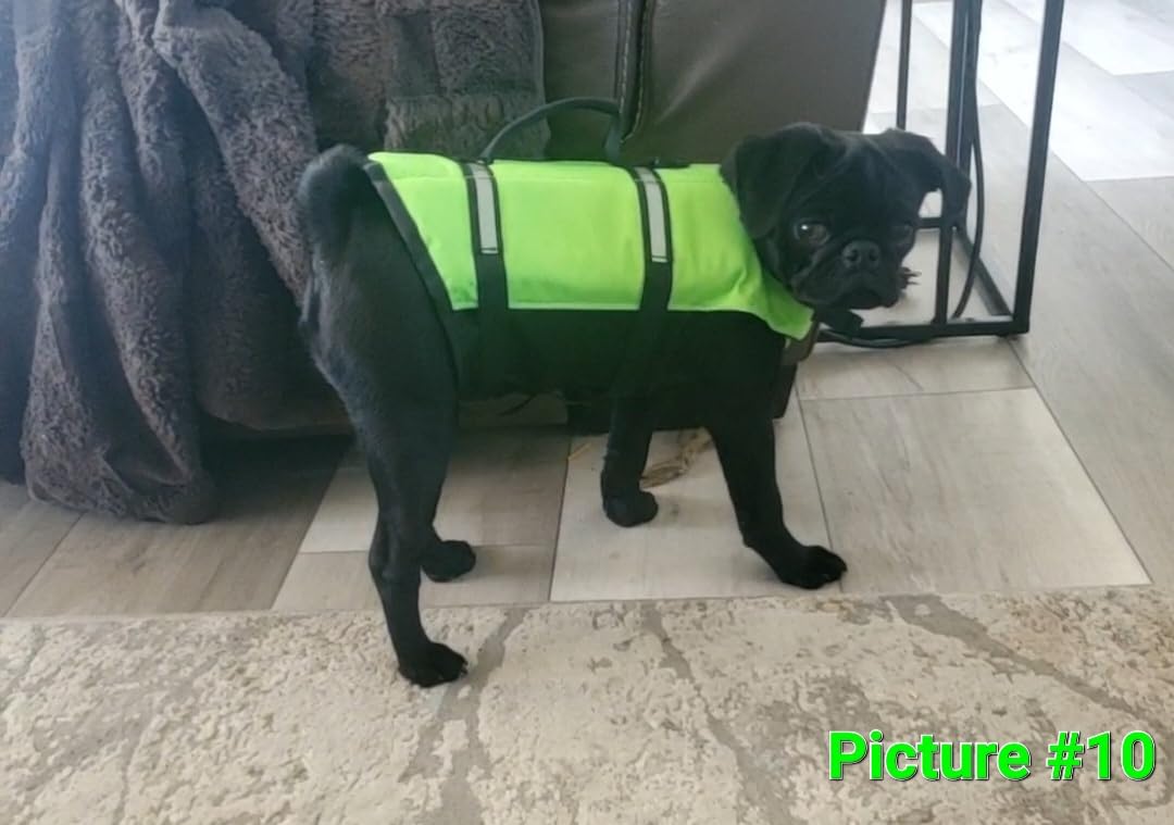 VIVAGLORY Dog Life Vest Rip Stop Dog Swim Vest, L, Bright Pink customer photo 2