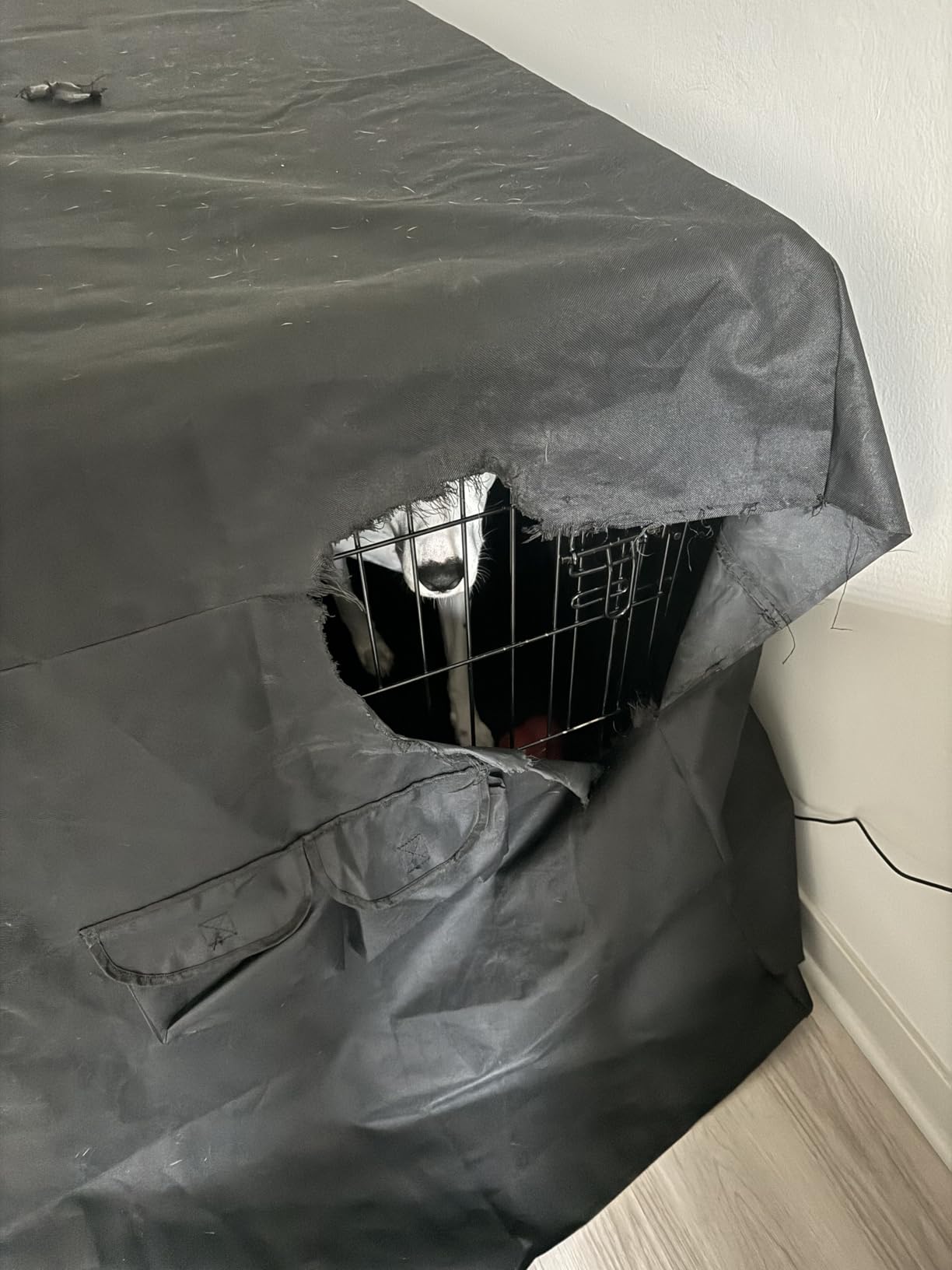 HONEST OUTFITTERS Dog Crate Cover 42 Inch Dog Kennel Cover for Large Dog, Heavy Duty Oxford Fabric,with Double Door, Pockets and Mesh Window (43L x 29W x 30H,Black) customer photo 2