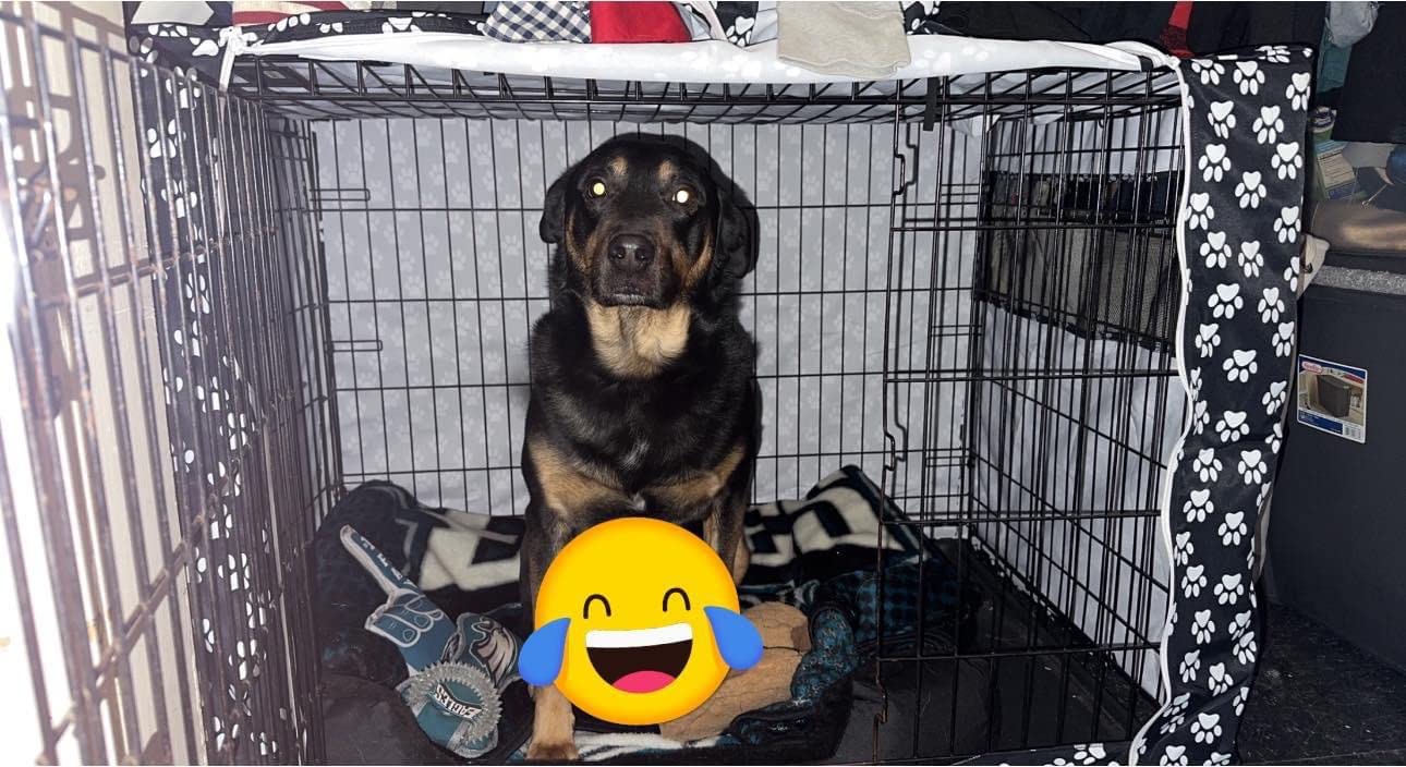 Pethiy Dog Crate Cover Durable Polyester Pet Kennel Cover Universal Fit for Wire Dog Crate - Fits Most 30 inch Dog Crates - Cover only-Black-30 customer photo 2
