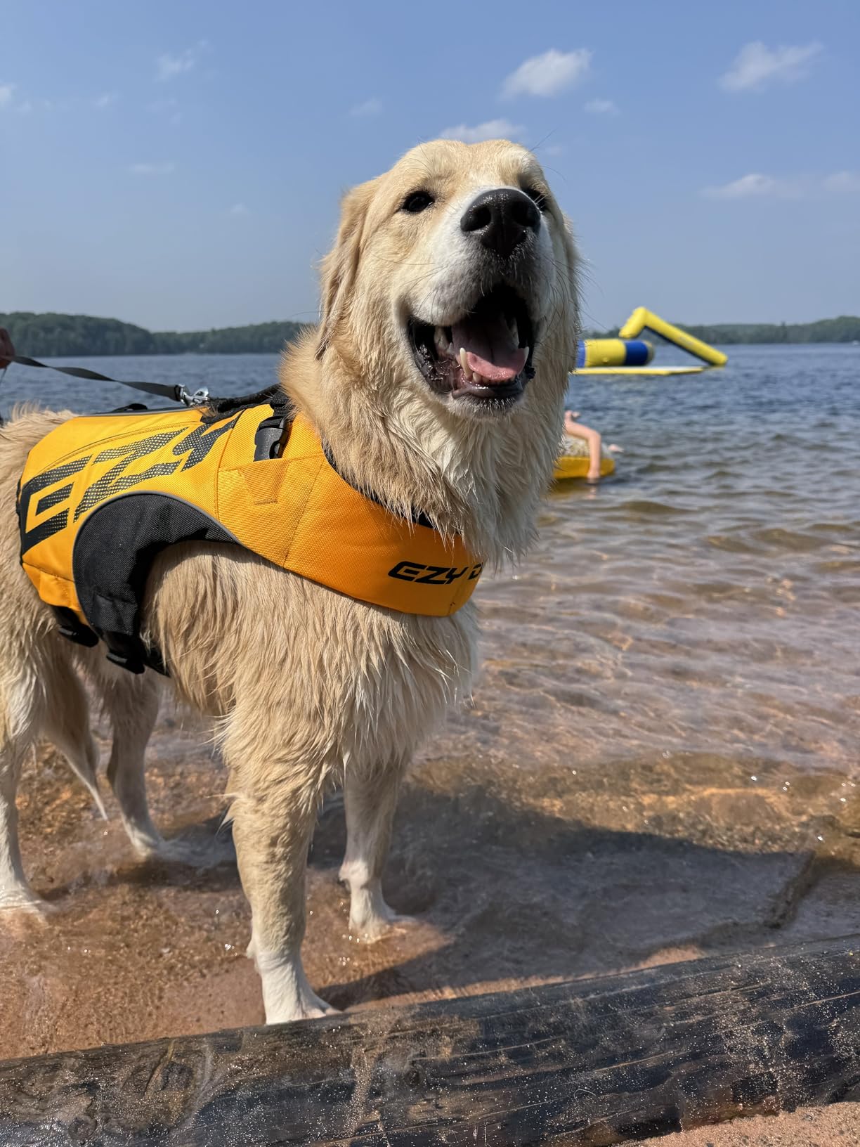 EzyDog DFD X2 Dog Life Jacket, Grab Handle, Reflective Trim - Large, Yellow customer photo 1