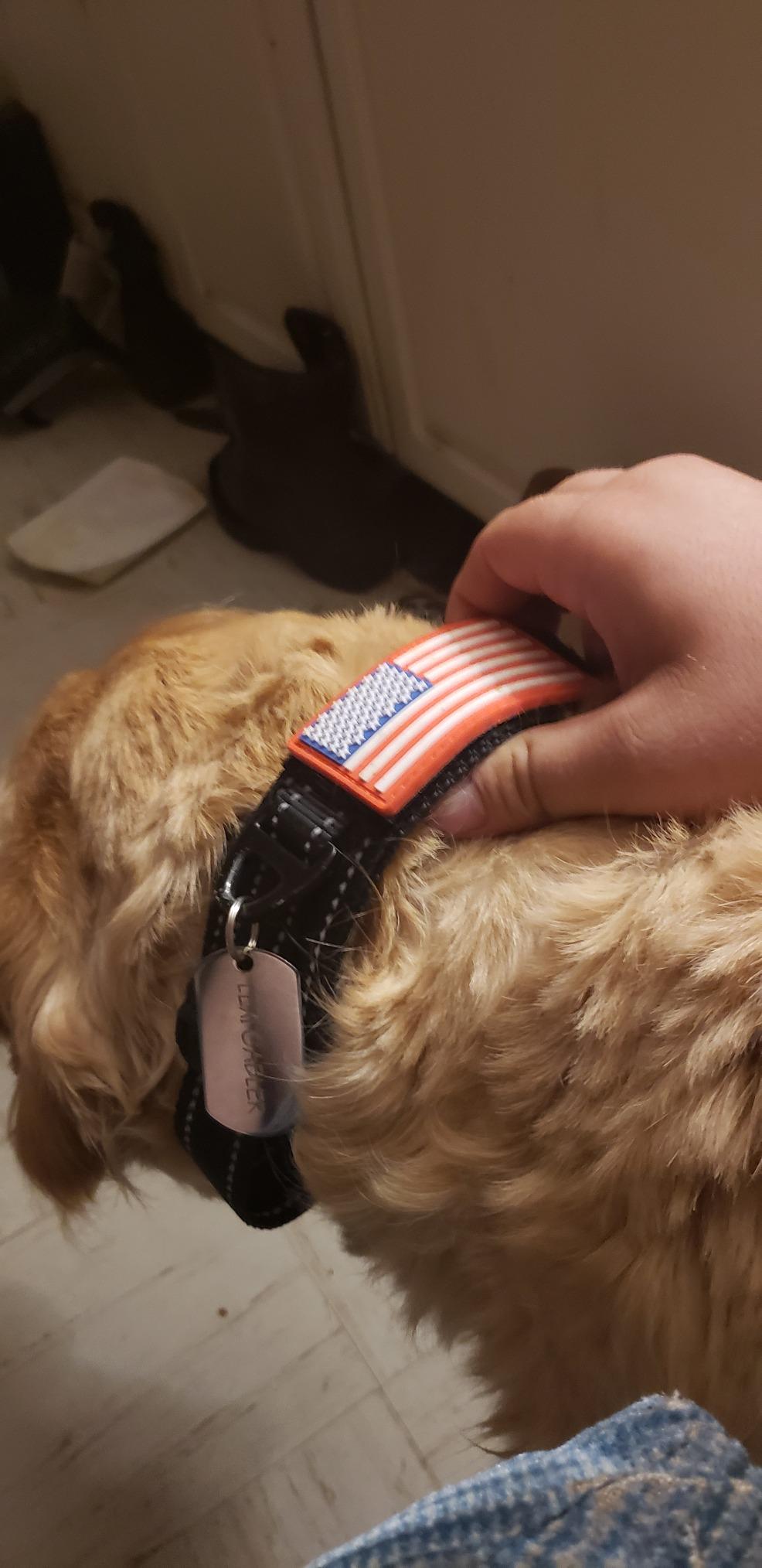 2-Inch Wide Tactical Dog Collar with Control Handle, Adjustable for Medium & Large Dogs, Military Style with Heavy-Duty Metal Buckle, USA Flag Patch & Customizable Name Plate, Training & Everyday Use customer photo 1