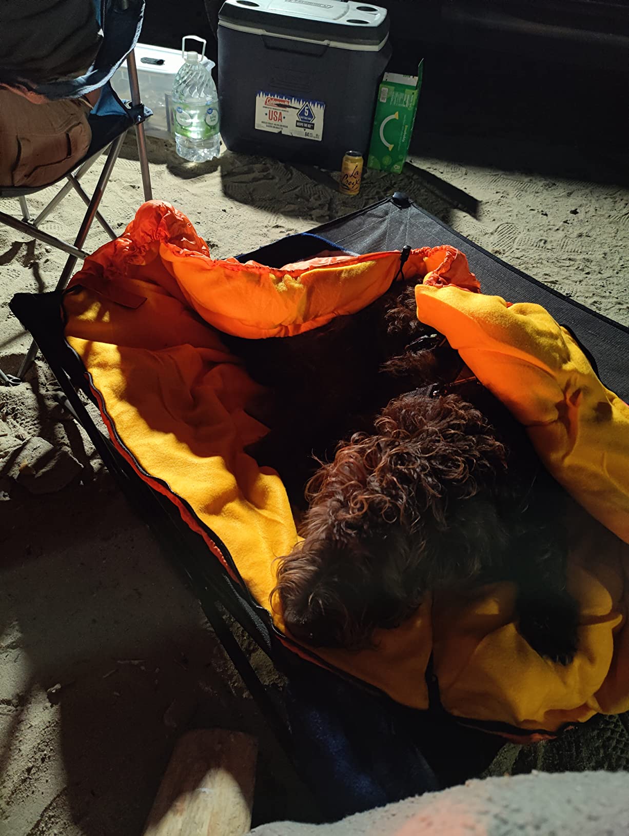 Lifeunion Dog Sleeping Bag with Storage Bag customer photo 1
