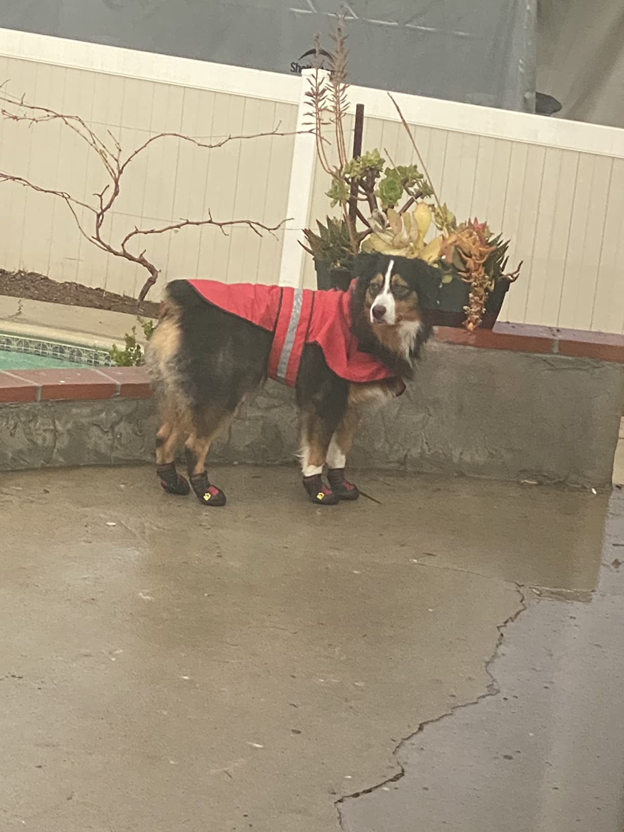 Waterproof Dog Boots, Dog Outdoor Shoes for Medium to Large Dogs with Two Reflective Fastening Straps and Rugged Anti-Slip Sole (2.56