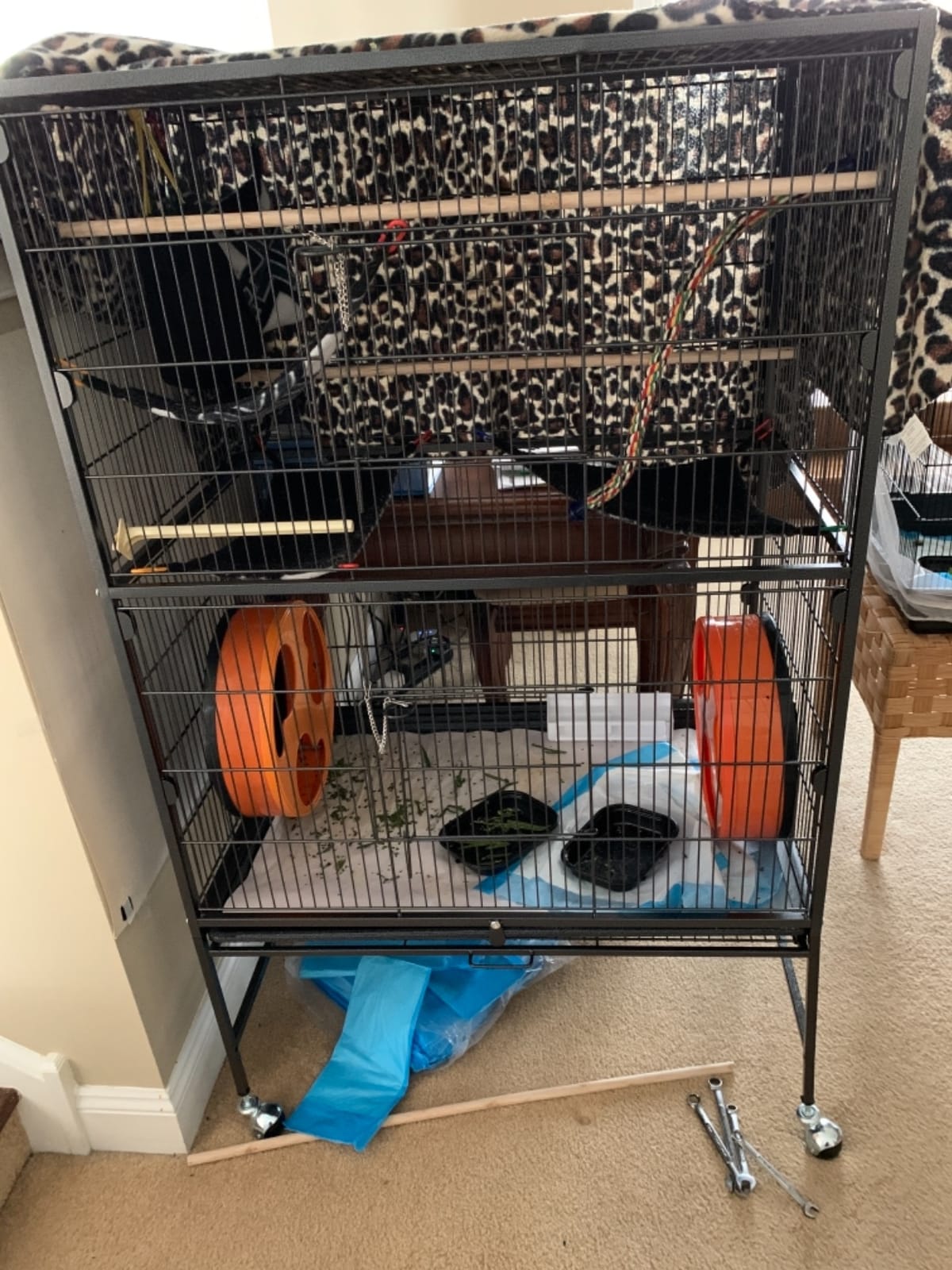 Topeakmart Wrought Iron Large Flight Parrot Bird Cage with Rolling Stand for Multiple Parakeets Conure Cockatiel Cage customer photo 1