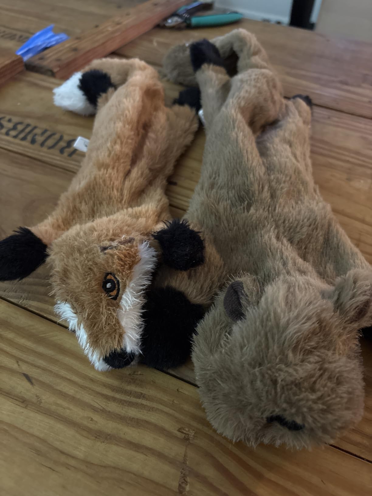 Nocciola Dog Squeaky Toys, 5 PCS Crinkle Plush Dog Toys, No Stuffing Dog Toys for Small Medium Large Dogs, Stuffless Puppy Toys for Boredom customer photo 2