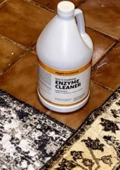 AmazonCommercial Multi-Purpose Enzyme Cleaner, Stain & Odor Remover, Pet Stain Remover, 1-Gallon, 1-Pack customer photo 1