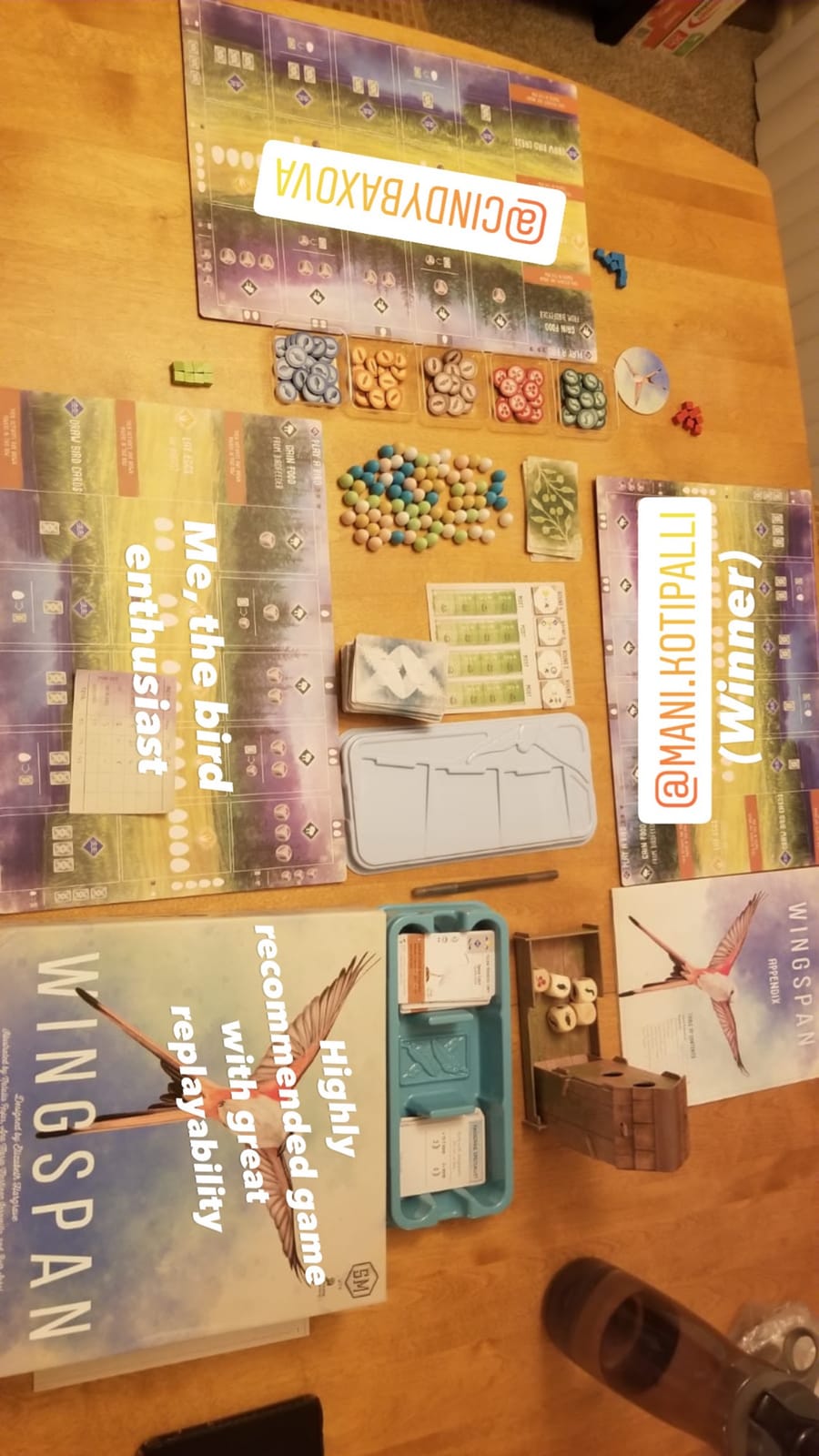 Stonemaier Games: Wingspan by Elizabeth Hargrave customer photo 2