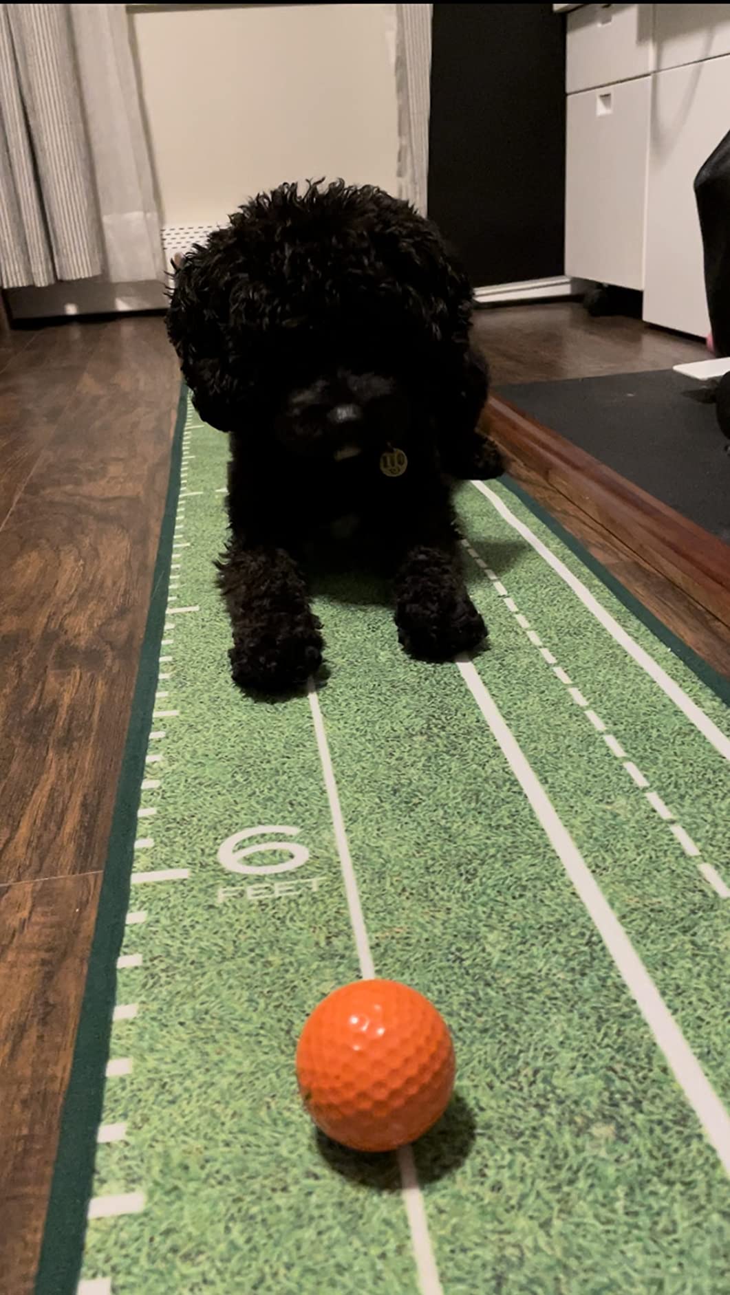 Perfect Practice Standard 9' Putting Mat - Indoor Putting Green customer photo 2