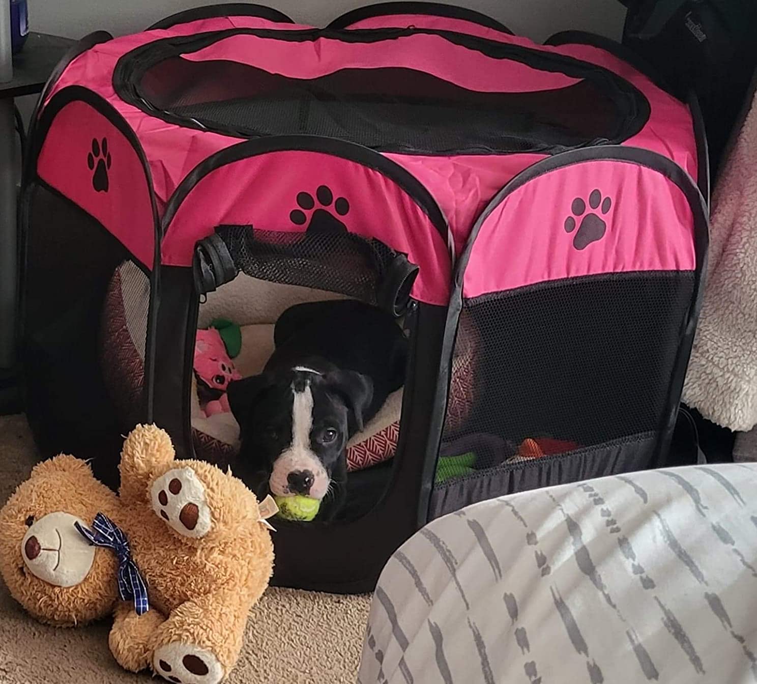 Dog Cat Playpen, Puppy Pet Crate Tent Cage, Home Enclosure Kennel customer photo 1