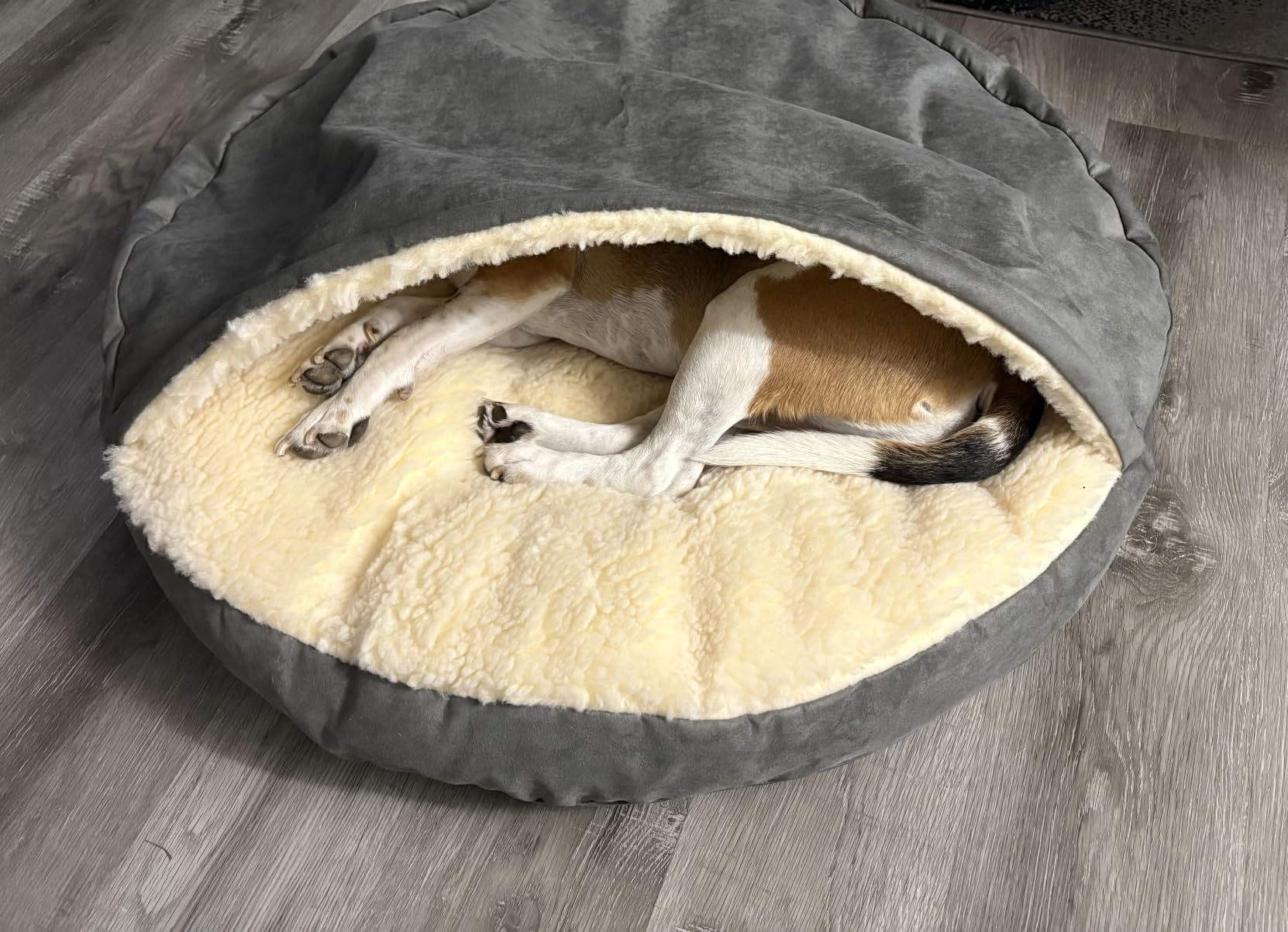 Snoozer Cozy Cave Dog Bed, Round Covered Dog Bed, Heather Gray (L) | For small-medium sized pets, Removable washable cover, Calming dog bed with blanket hood, Great for burrowers, USA company customer photo 2
