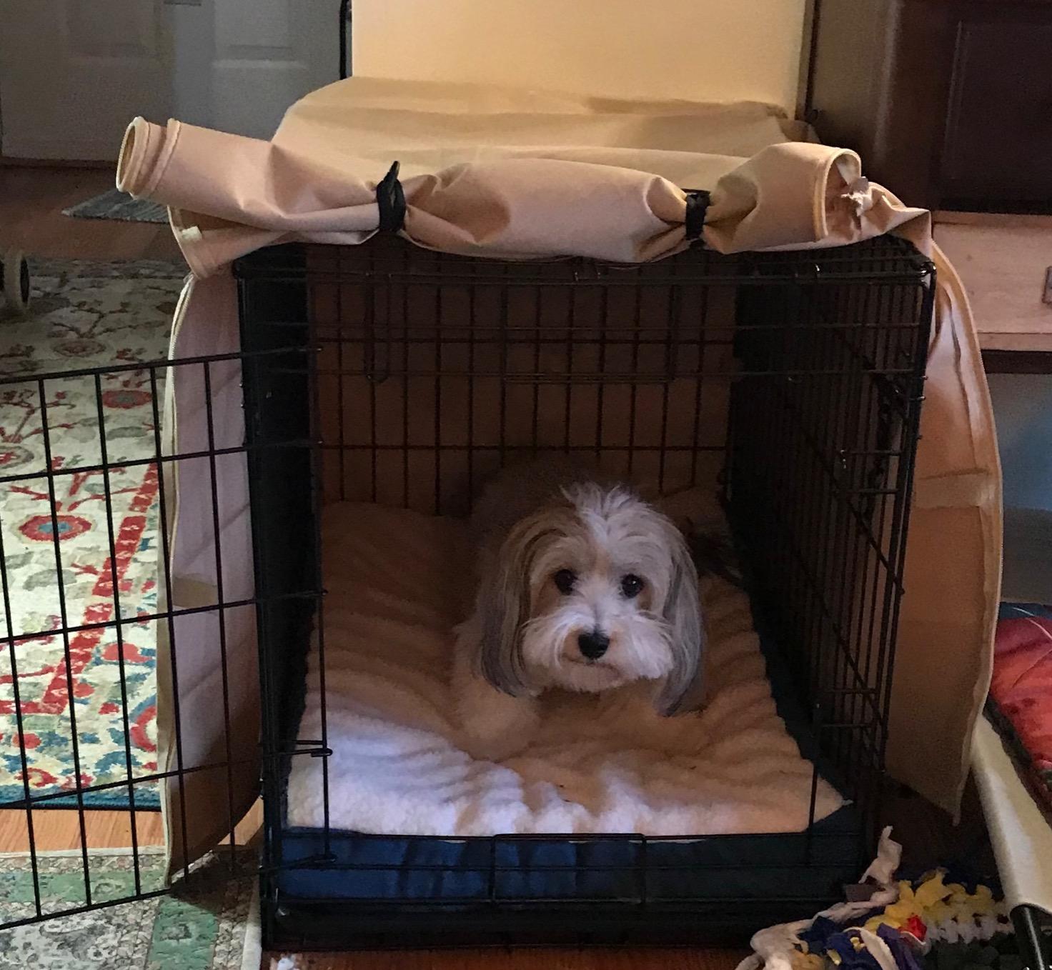 X-ZONE PET Dog Crate Cover Waterproof Kennel Cover, 30 in Beige customer photo 1