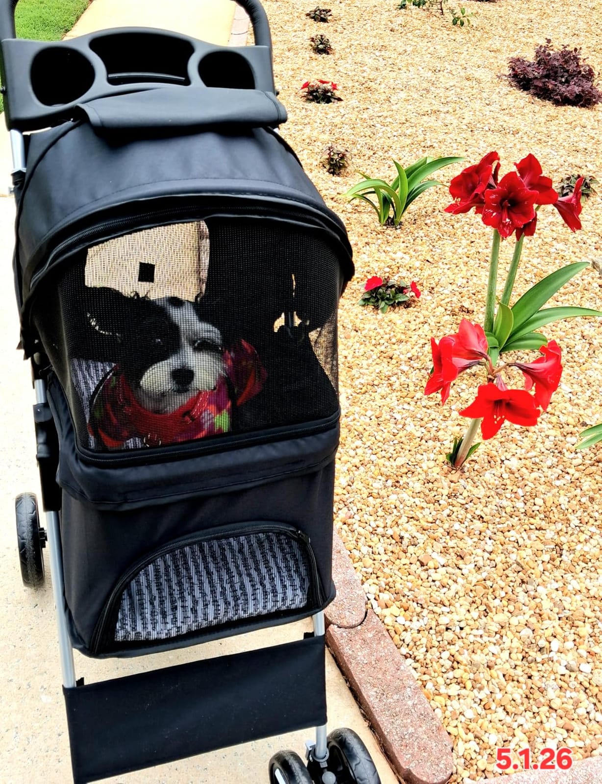 4 Wheels Pet Stroller Dog Cat Stroller for Small Medium Dog Cats Foldable Carrier Jogger Travel Puppy with Storage Basket and Cup Holder (Black) customer photo 2