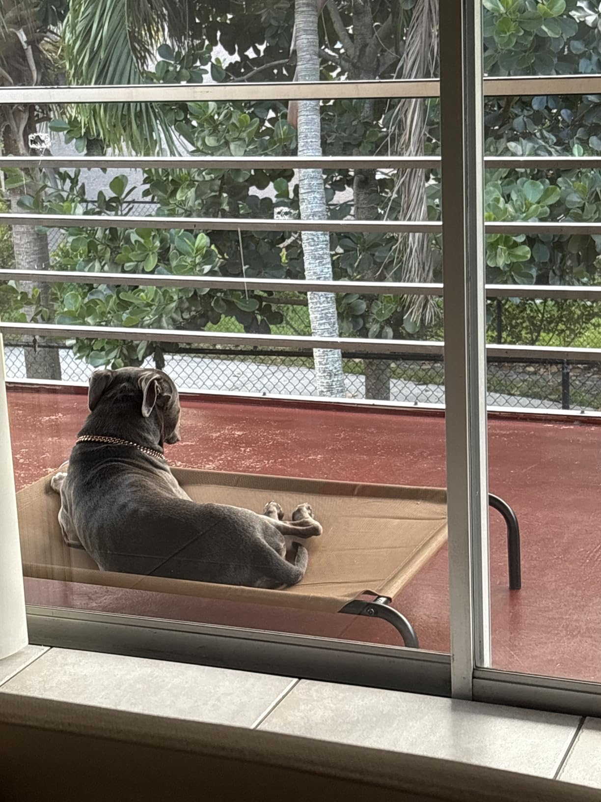 Heavy Duty Steel-Framed Portable Elevated Pet Bed, Elevated Cooling Pet Cot, 43.5
