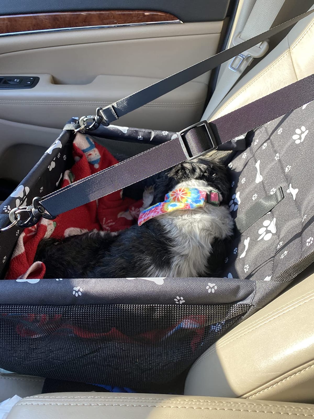 Dog Car Seat Puppy Portable Pet Booster Car Seat with Clip-On Safety Leash and PVC Support Pipe, Anti-Collapse,Perfect for Small Pets customer photo 2