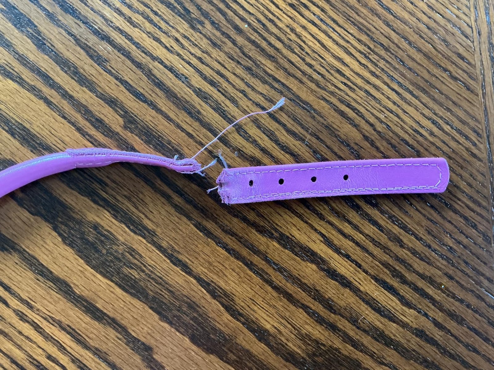 Rolled Leather Dog Collar, QR Tag, Anti-Tangle (L 16-18