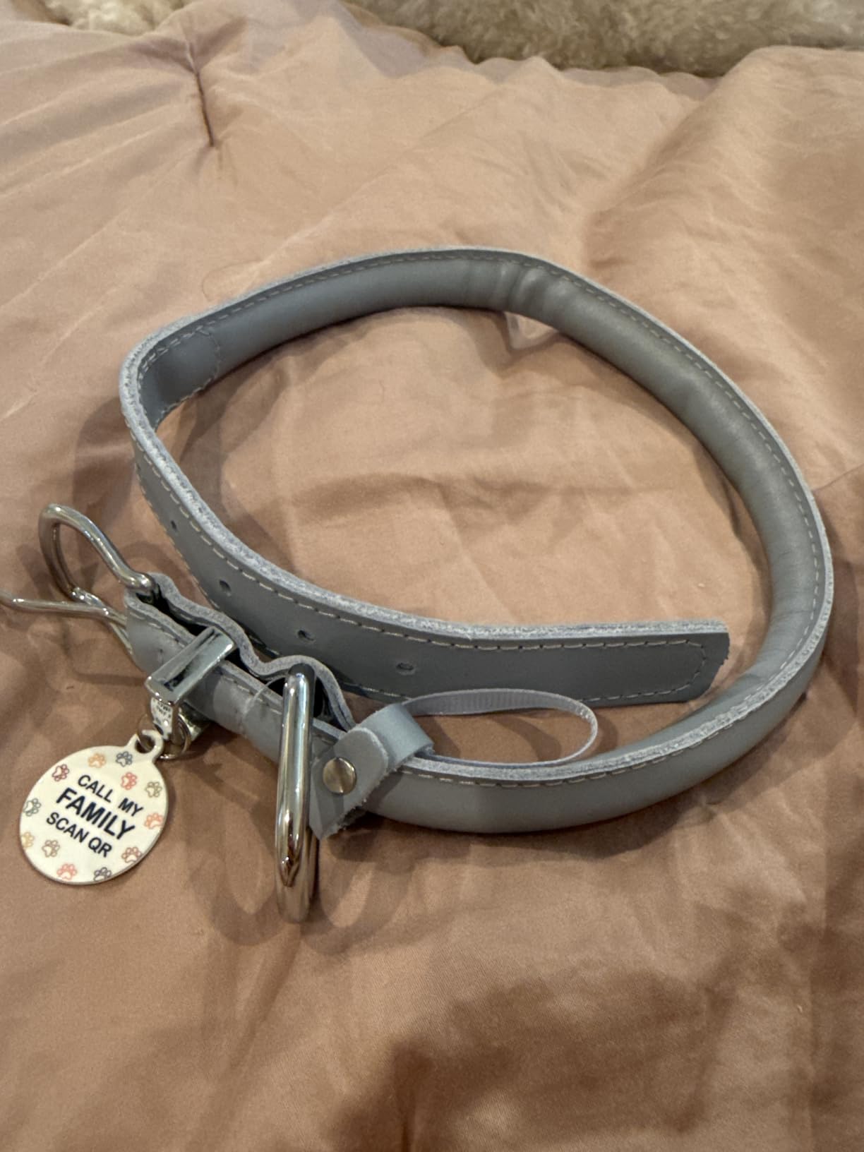 Rolled Leather Dog Collar, QR Tag, Anti-Tangle (L 16-18
