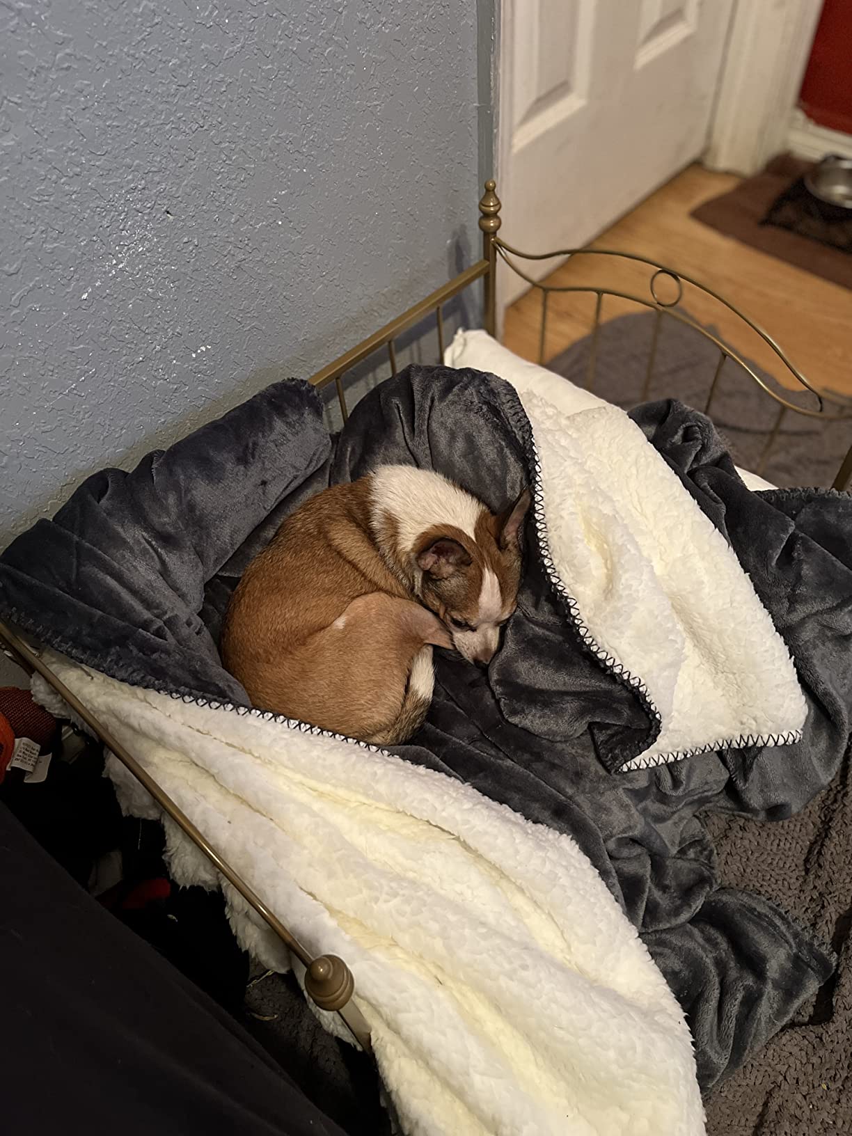 Pet Bed, Dog Bed with Metal Frame and Detached White Velvet Cushion with 2 Pillow for Small Dog customer photo 2