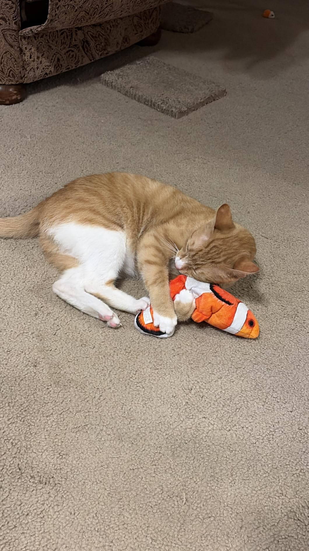 Potaroma Cat Toys Flopping Fish with Catnip, Moving Kitten Kicker, Floppy Wiggle Carp for Small Dogs, Interactive Motion Kitty Exercise, 10.5 Inches customer photo 2