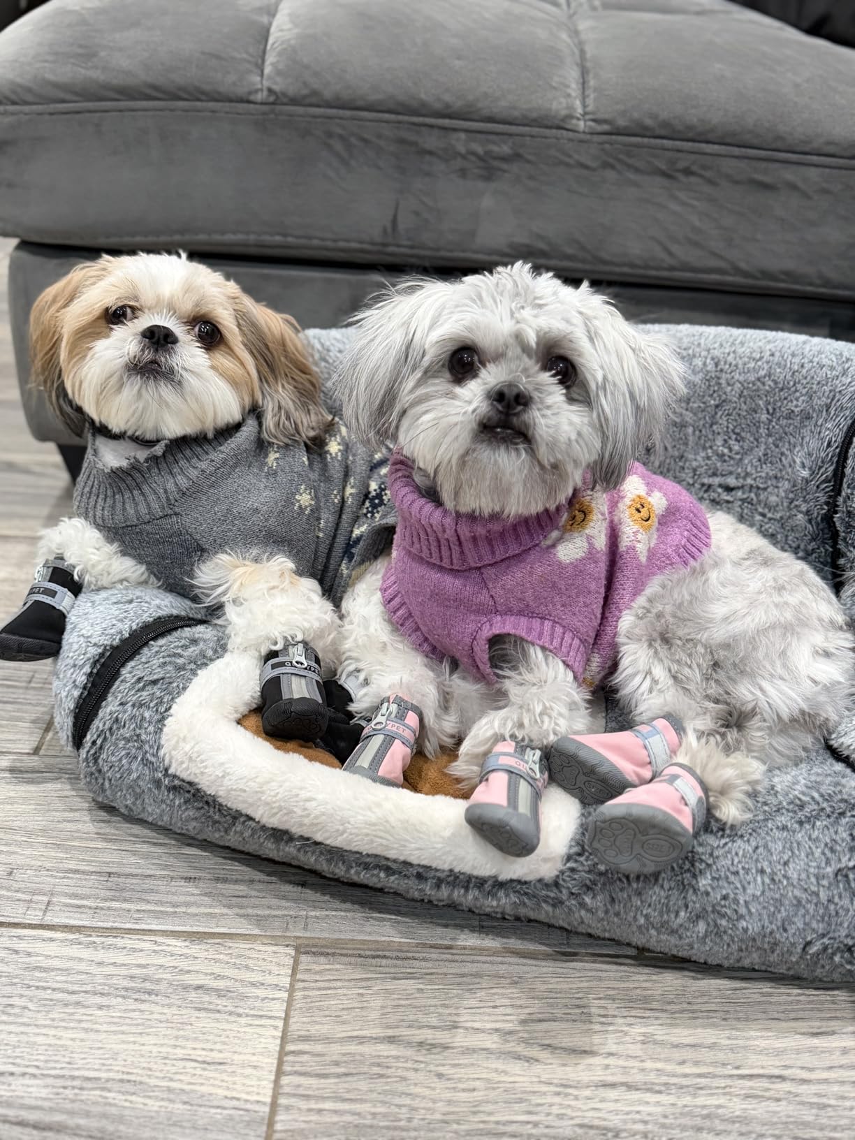 QUMY Dog Shoes Small Size Dogs, Dog Snow Boots & Paw Protectors for Winter customer photo 2