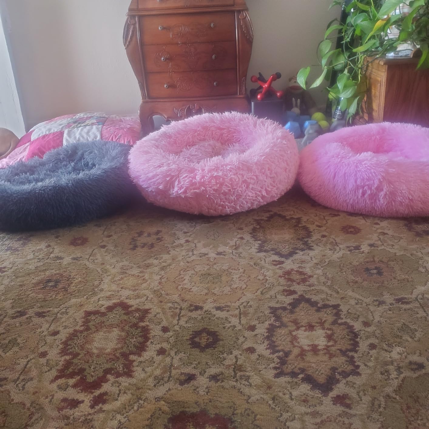 Cat Bed for Indoor Cats,Mini Plush Self Warming Kitten Bed, 20 Inch customer photo 2