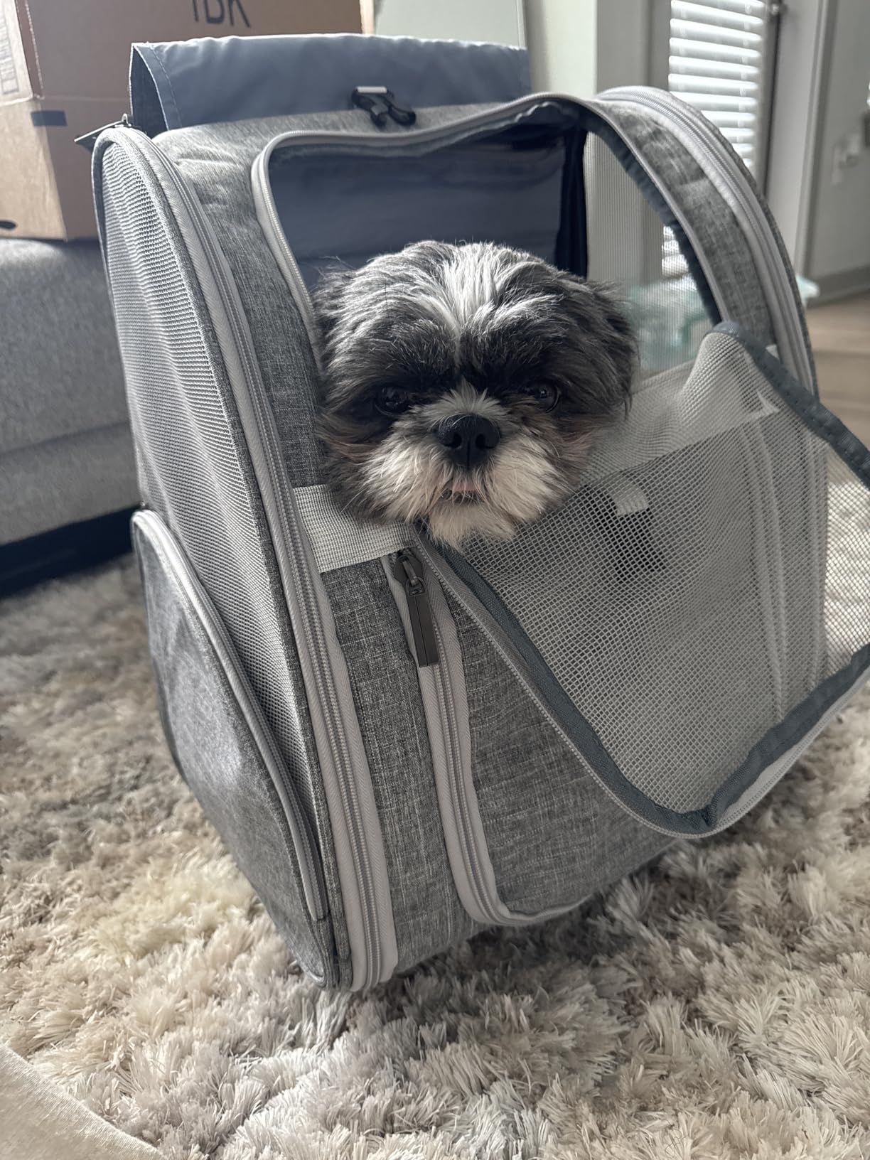 Lollimeow Pet Rolling Carrier, Dog Backpack with Wheels,Cats,Puppies Travel Bag with Wheels,Dog Trolley(Grey) customer photo 1