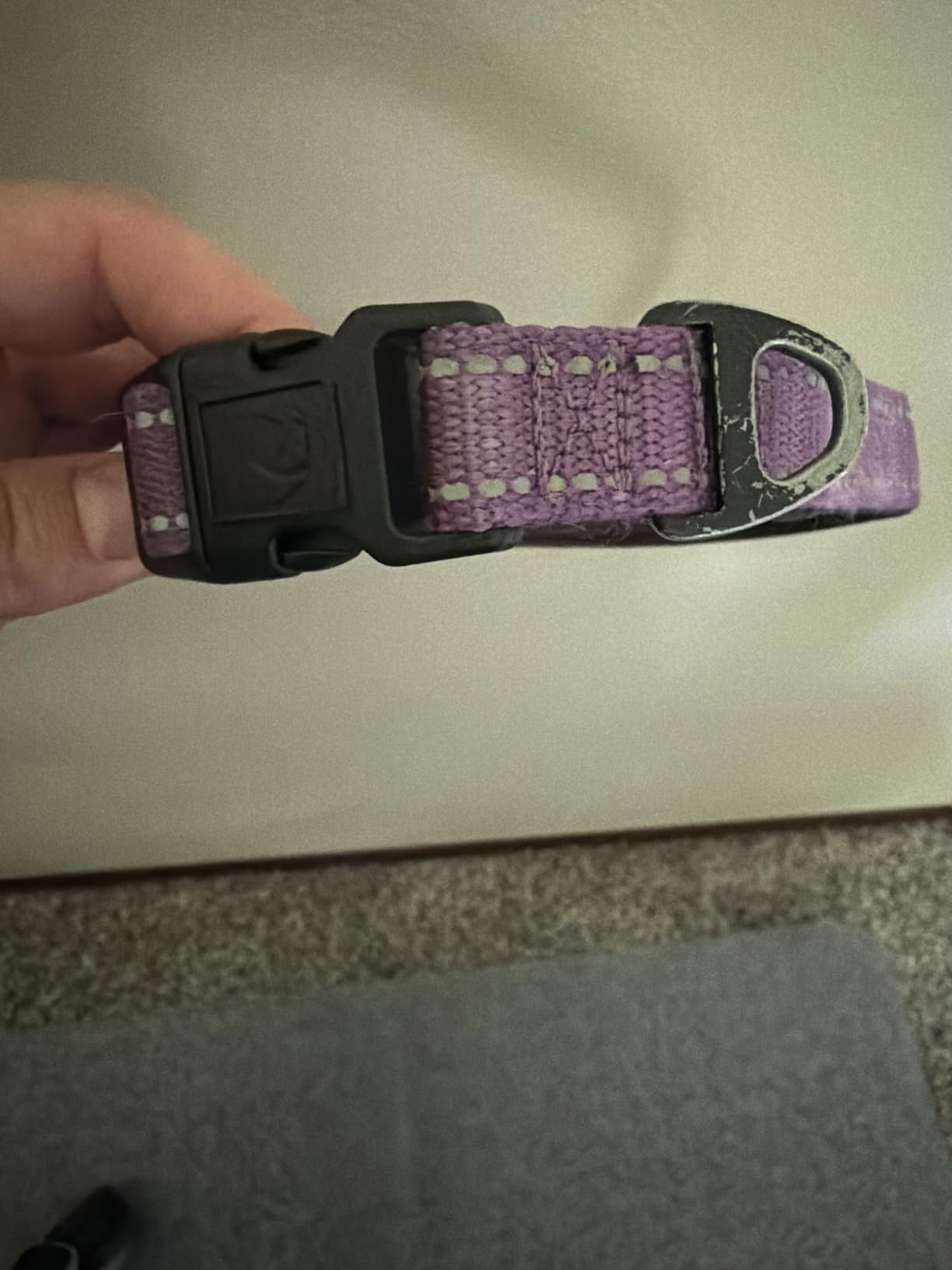 Joytale Reflective Dog Collar, Adjustable Neoprene Padded, Khaki L customer photo 1