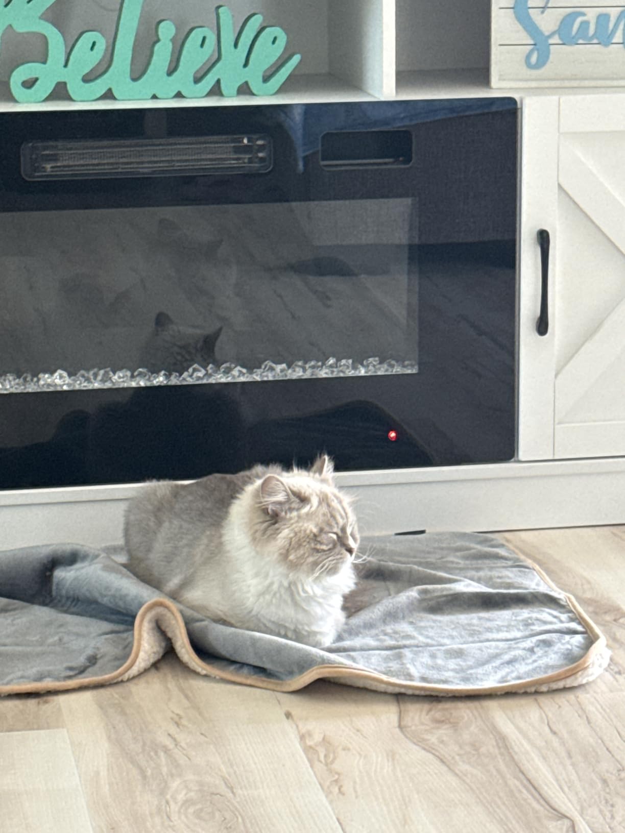 Bedsure Waterproof Dog Blankets for Small Dogs Soft Cat Blanket Warm,25X35 customer photo 2