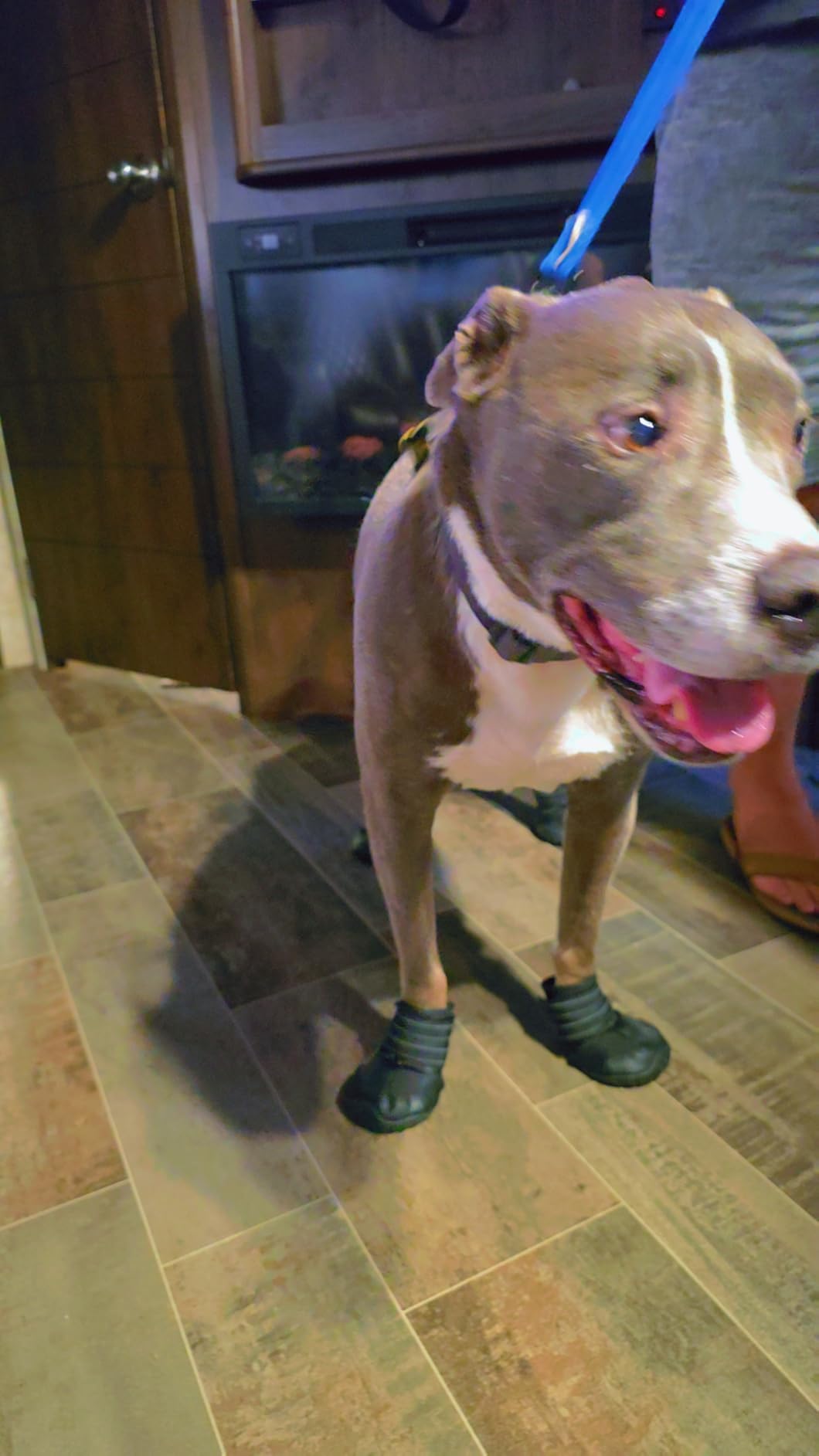 XSY&G Dog Shoes for Hot Pavement, Dog Snow Booties for Medium to Large Dogs customer photo 1