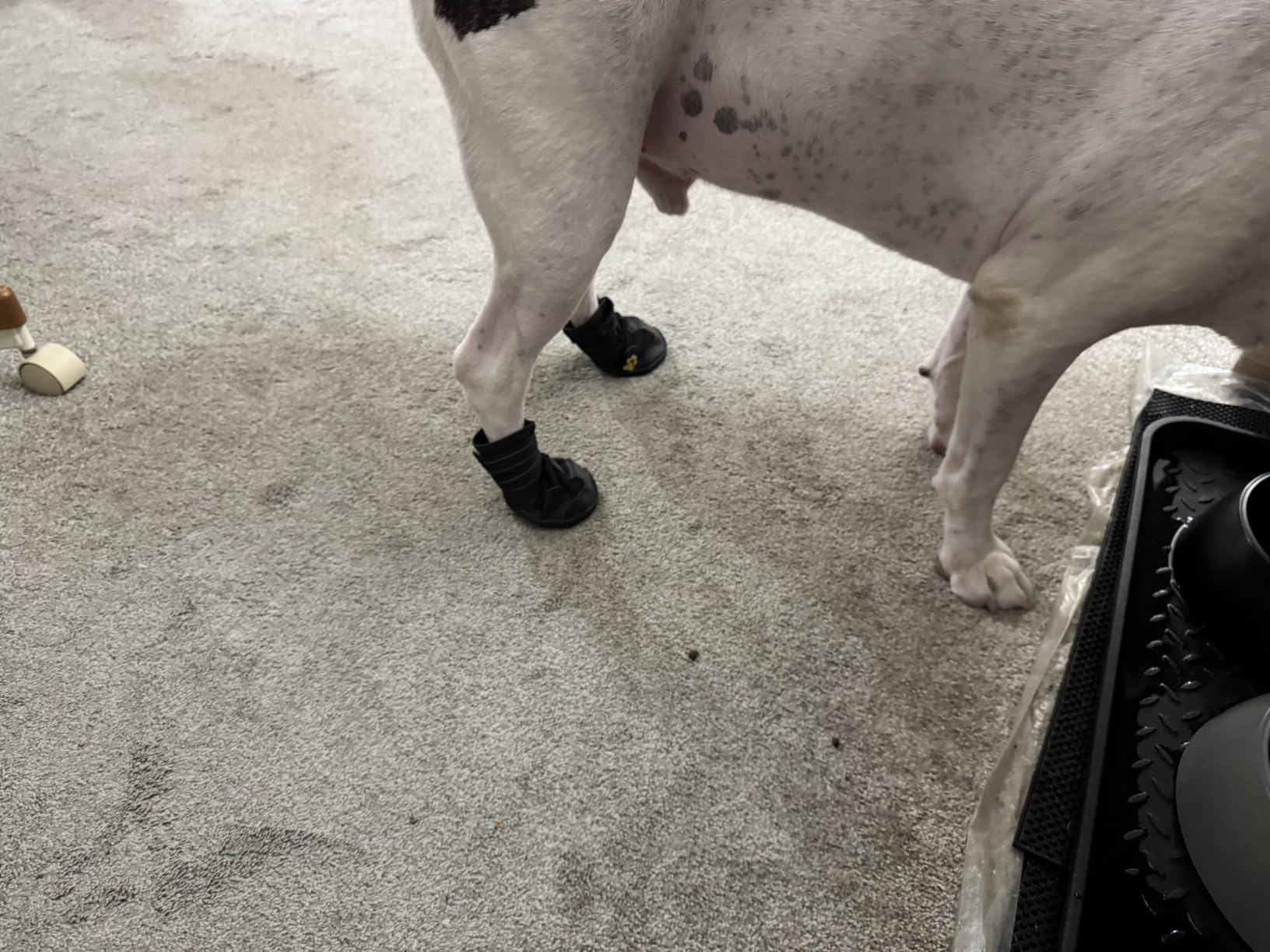 XSY&G Dog Shoes for Hot Pavement, Dog Snow Booties for Medium to Large Dogs | Dog Boots & Paw Protectors Waterproof&Anti-Slip with Reflective for Hardfloors,Walking,Rugged Skid-Resistant Sole Black Size7 customer photo 2