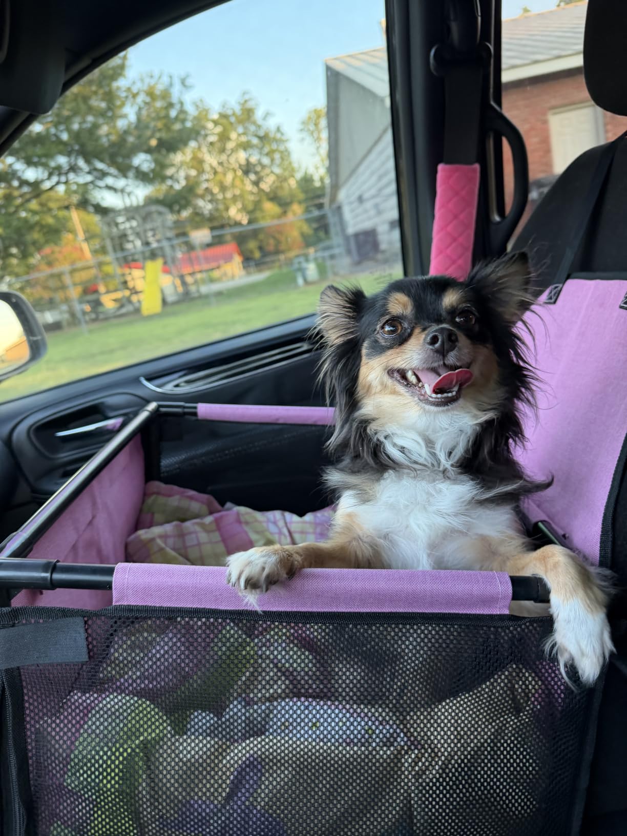 GENORTH Dog Car Seats for Small and Medium Dogs,Portable Puppy/Pet Car Booster Seat with Clip-On Leash and Mesh Window for Pet Up to 20 lbs customer photo 1