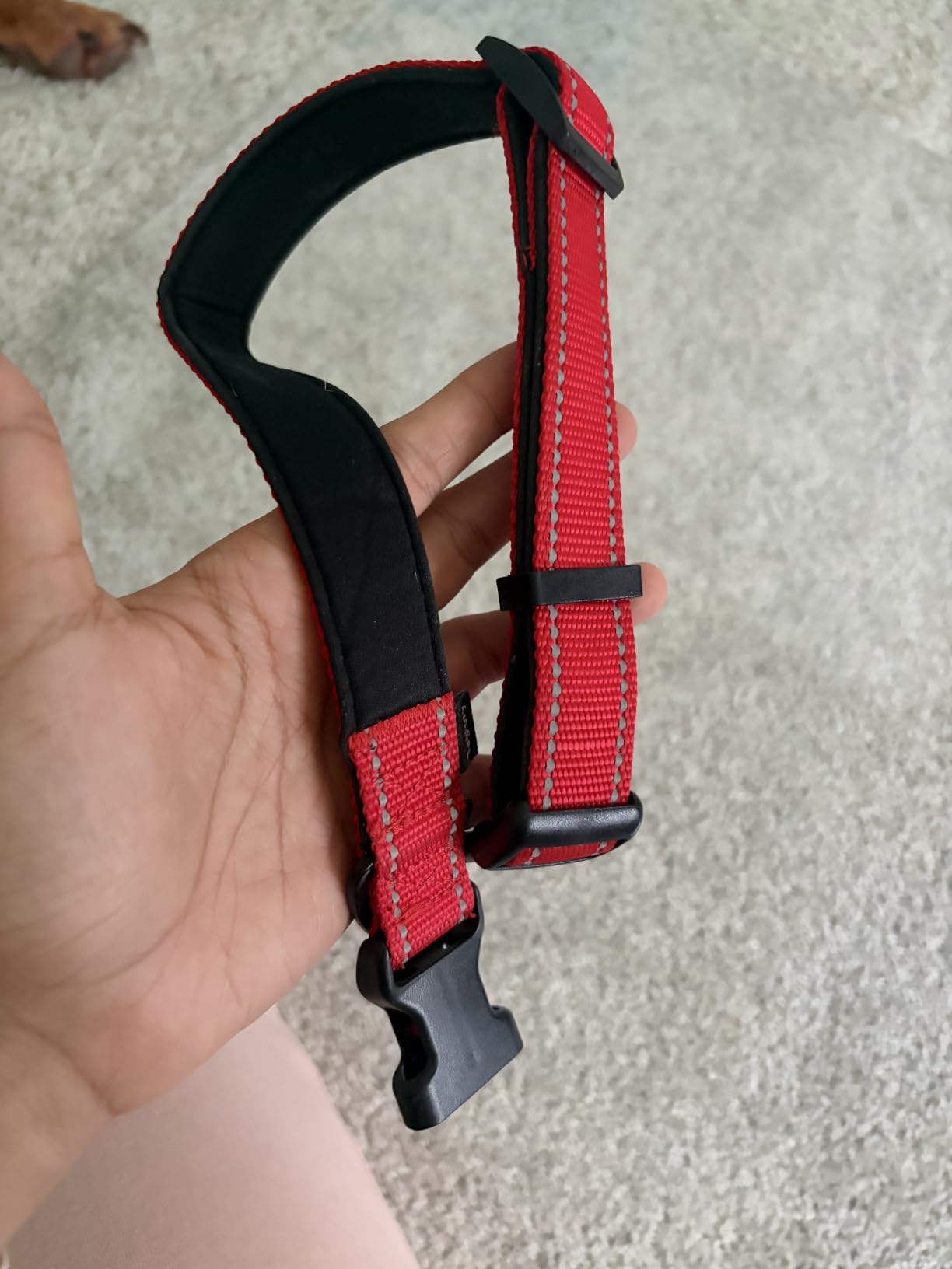Taglory Reflective Dog Collar for Medium Dogs, Soft and Safe for Daily Walk customer photo 2